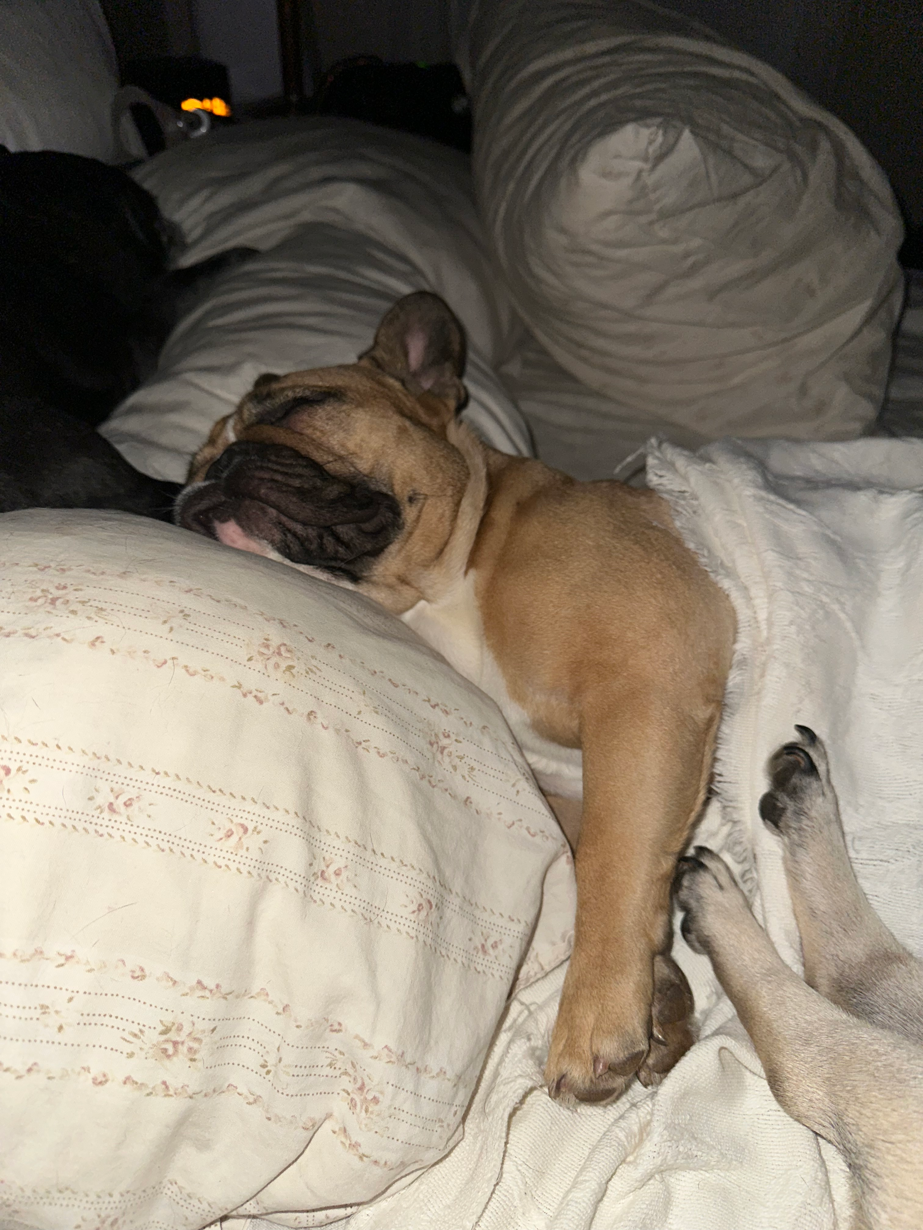 user avatar image for AMKelley