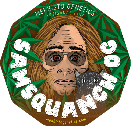 user avatar image for Shawn