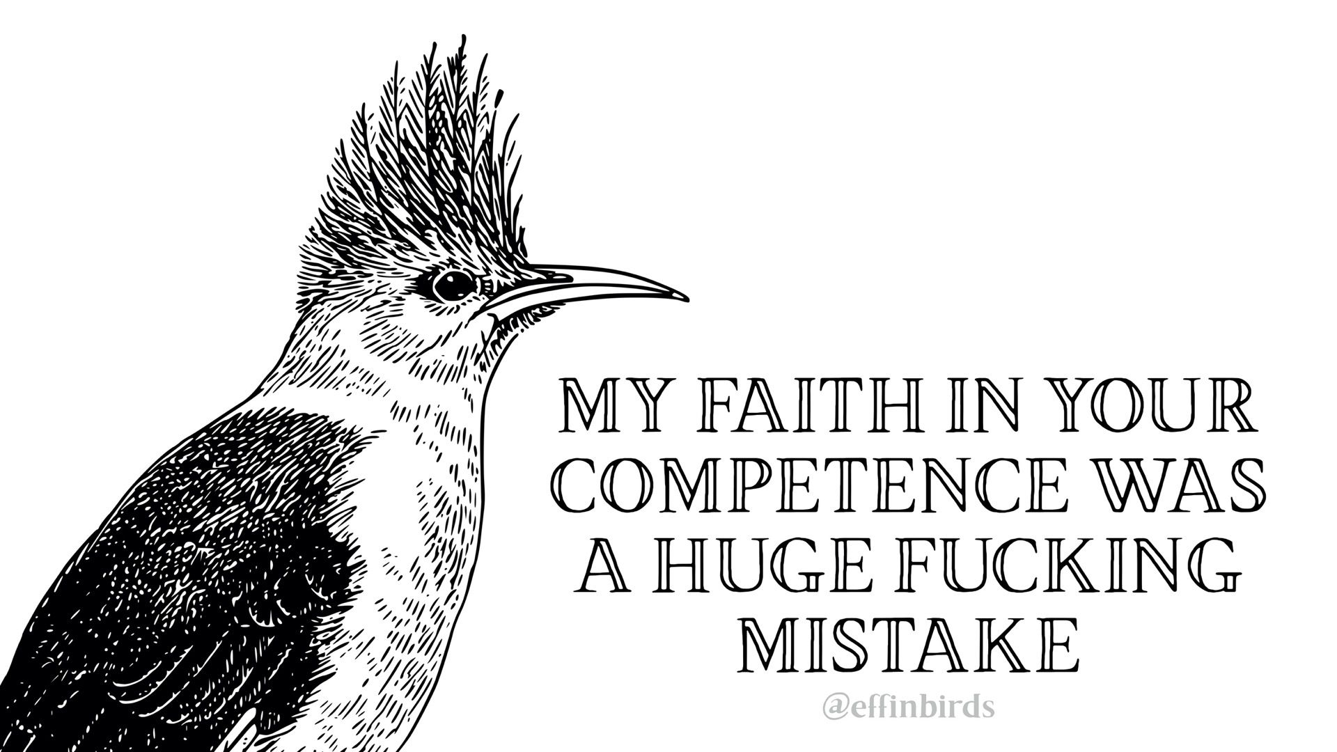 user avatar image for Kate Havas