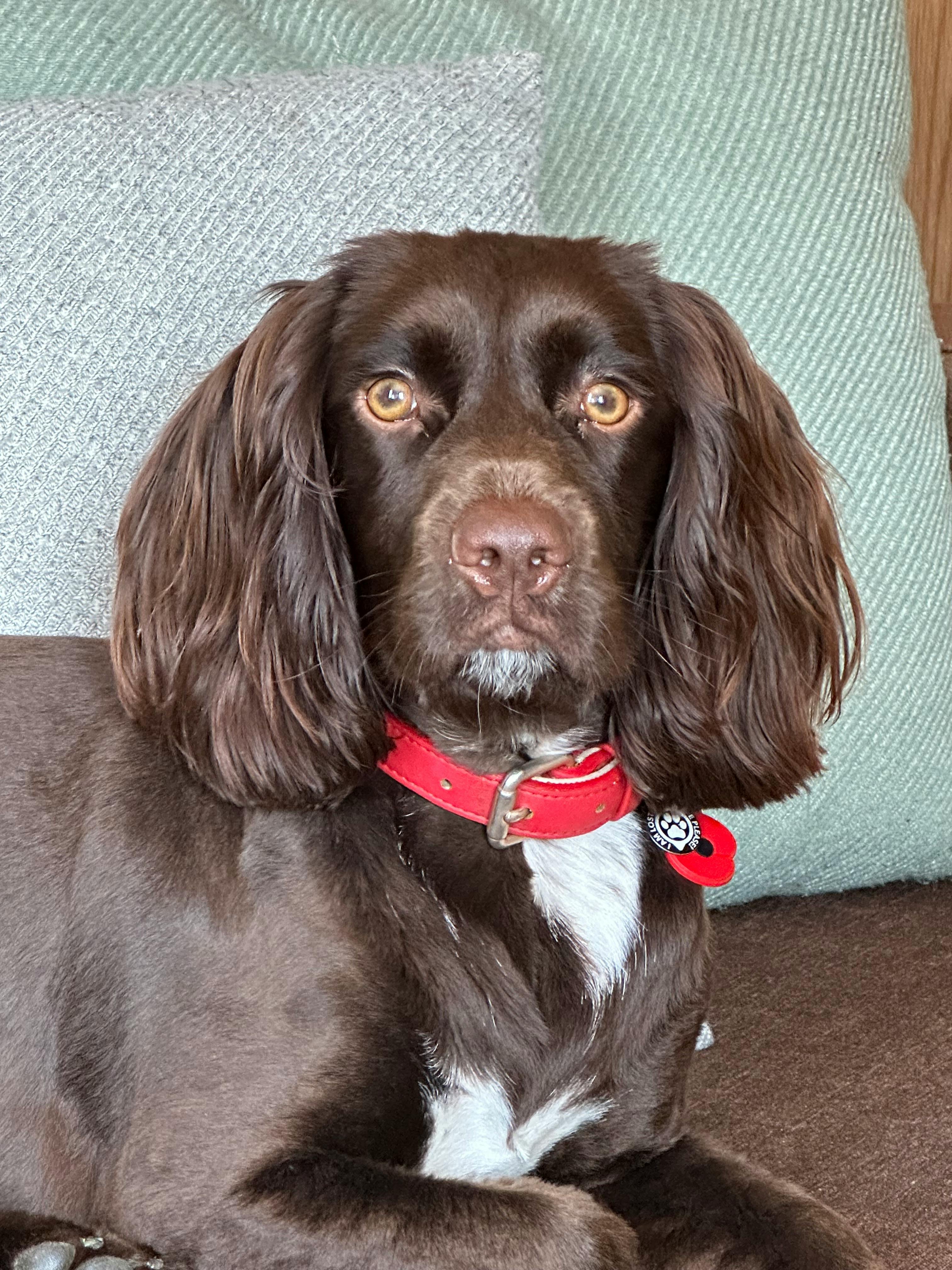 user avatar image for DonnaTwenty