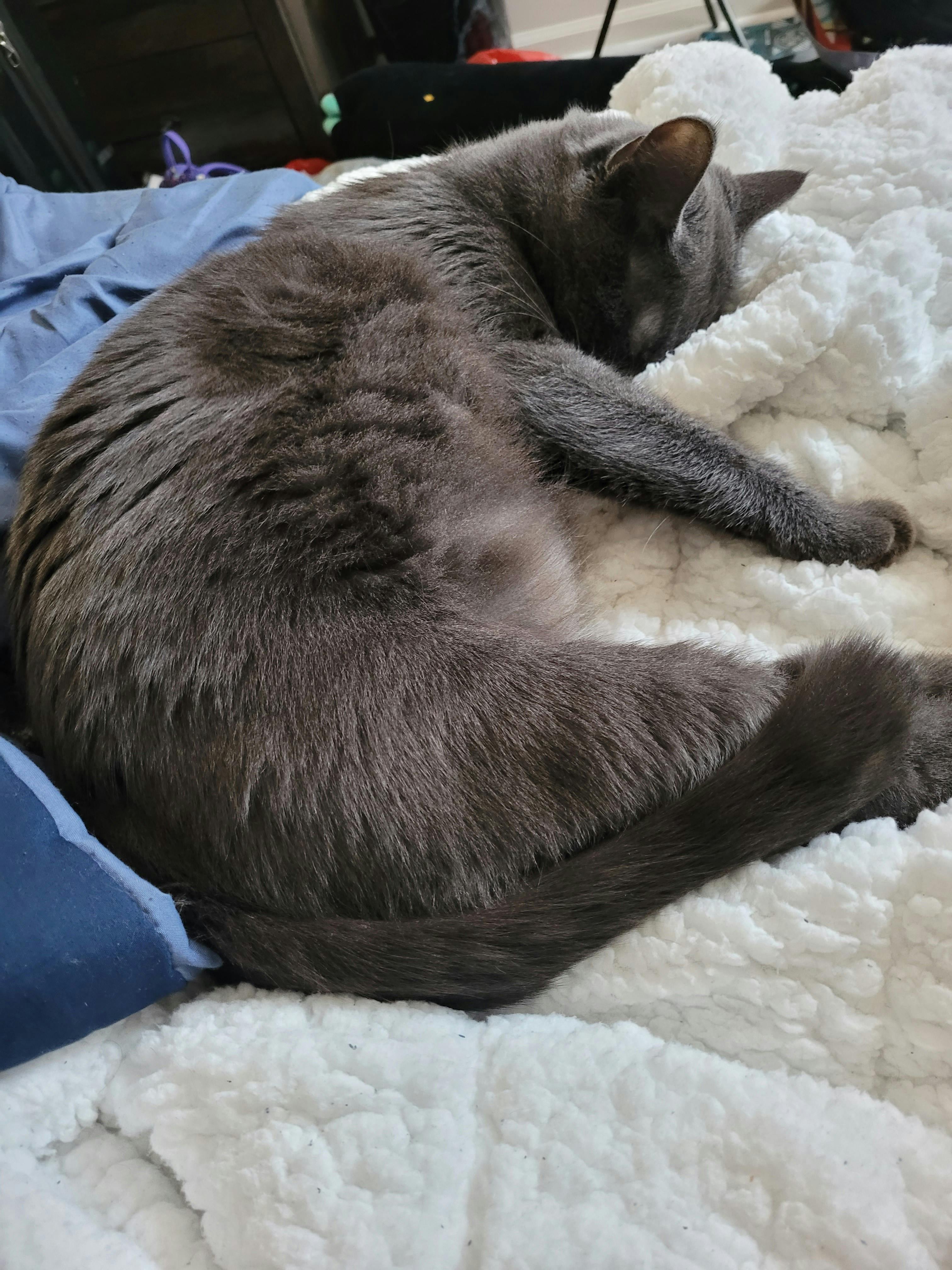 user avatar image for Dirty Dan