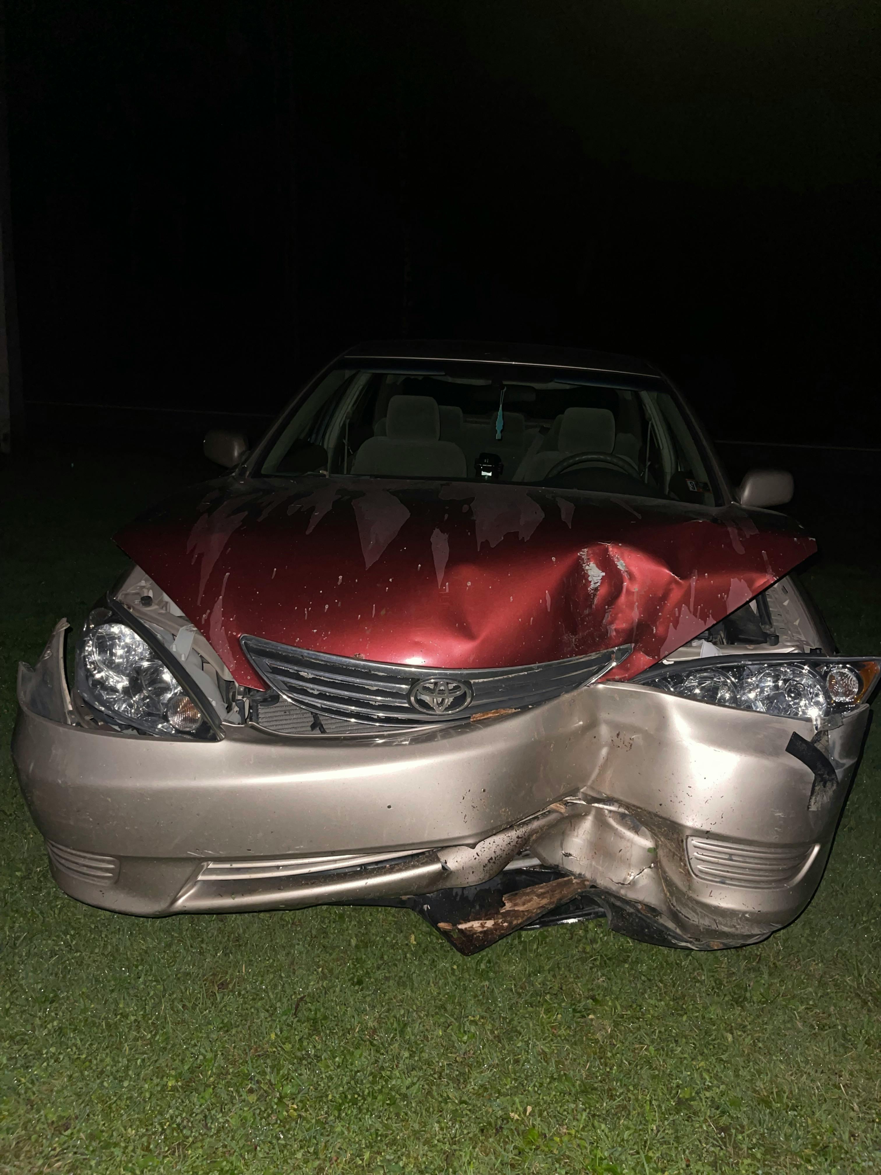 user avatar image for Stashhound