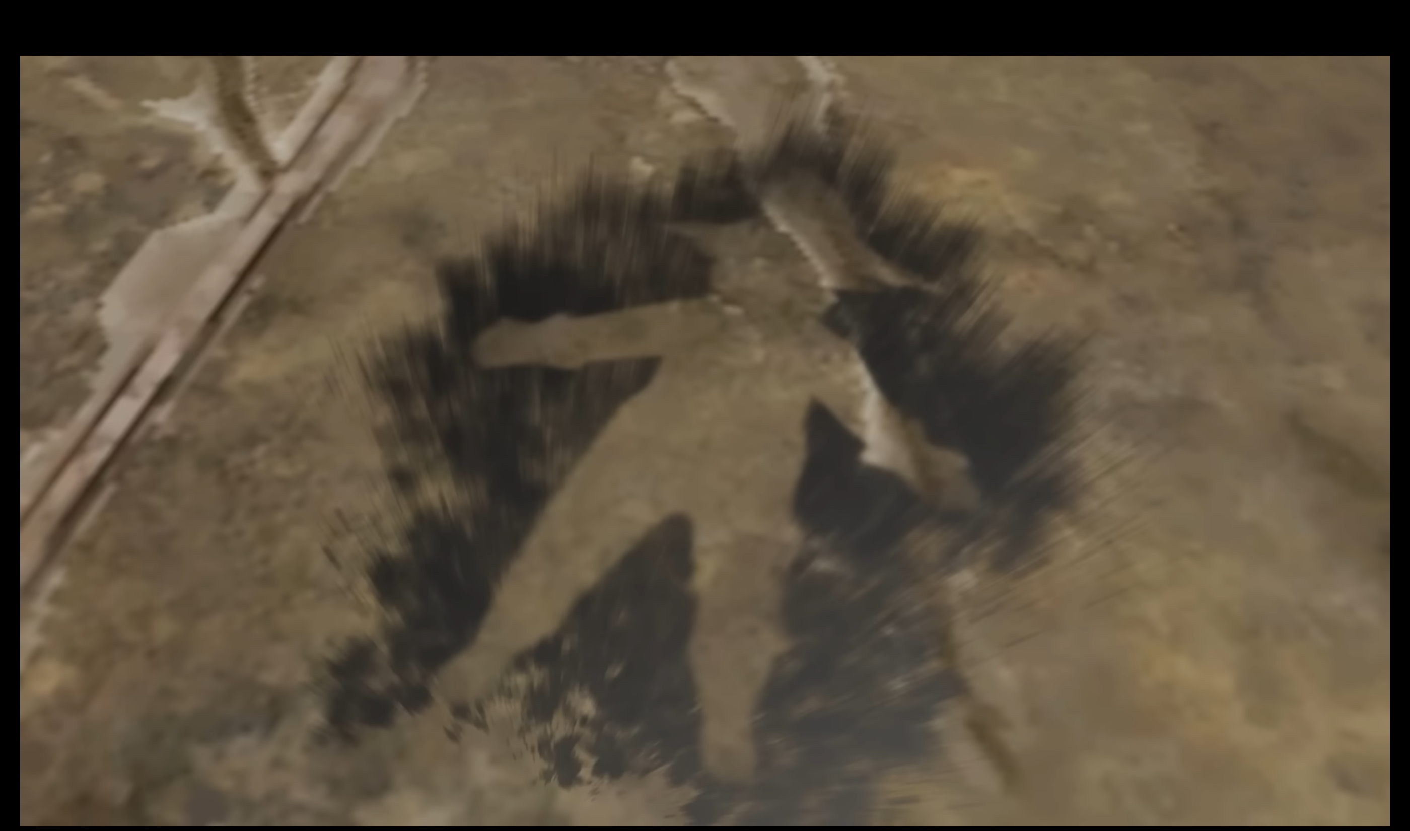 user avatar image for Carina