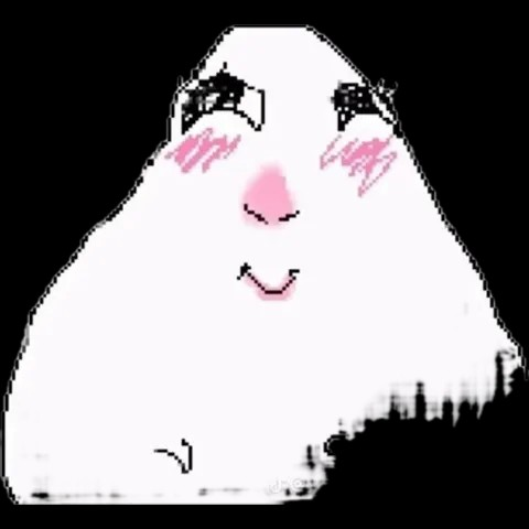 user avatar image for Fatima 