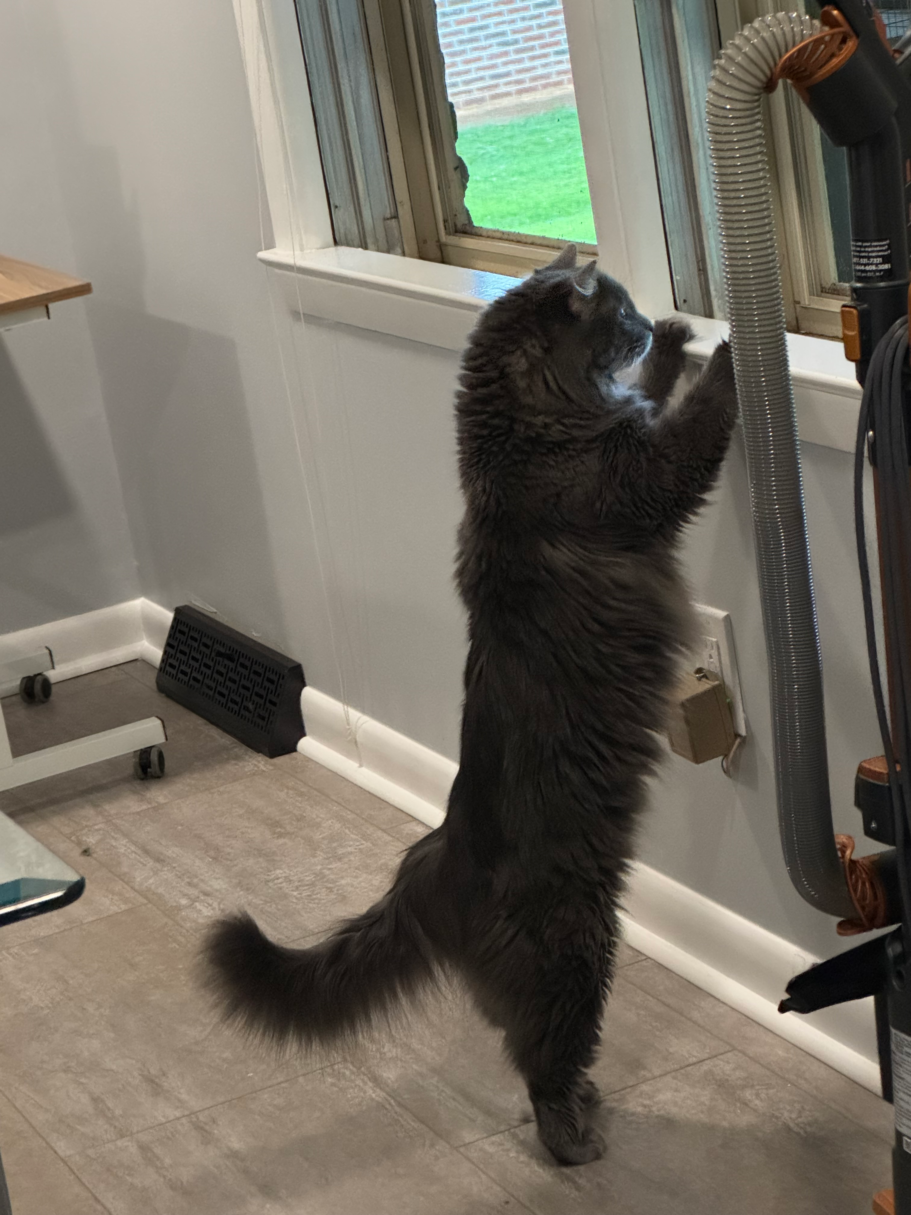 user avatar image for Anthony