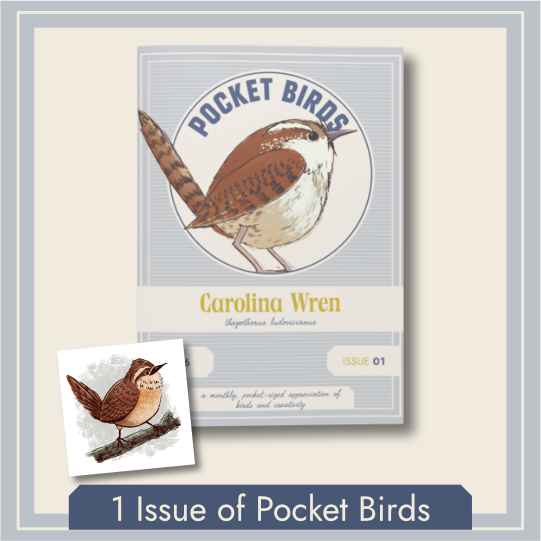Single Issue of Pocket Birds