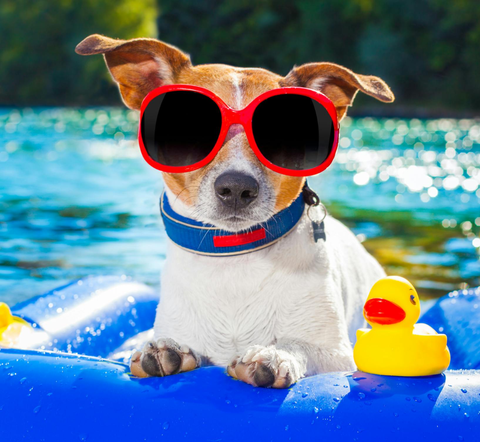 user avatar image for david behar