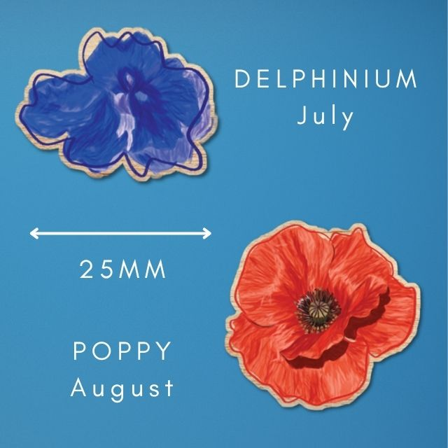 Delphinium & Poppy