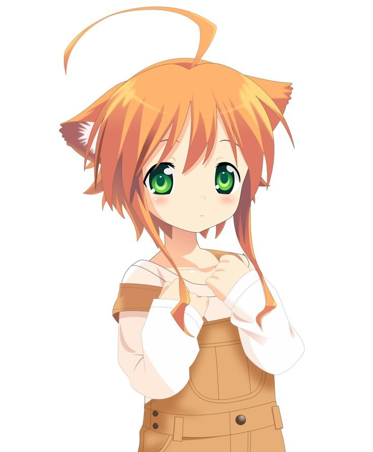 user avatar image for Vis