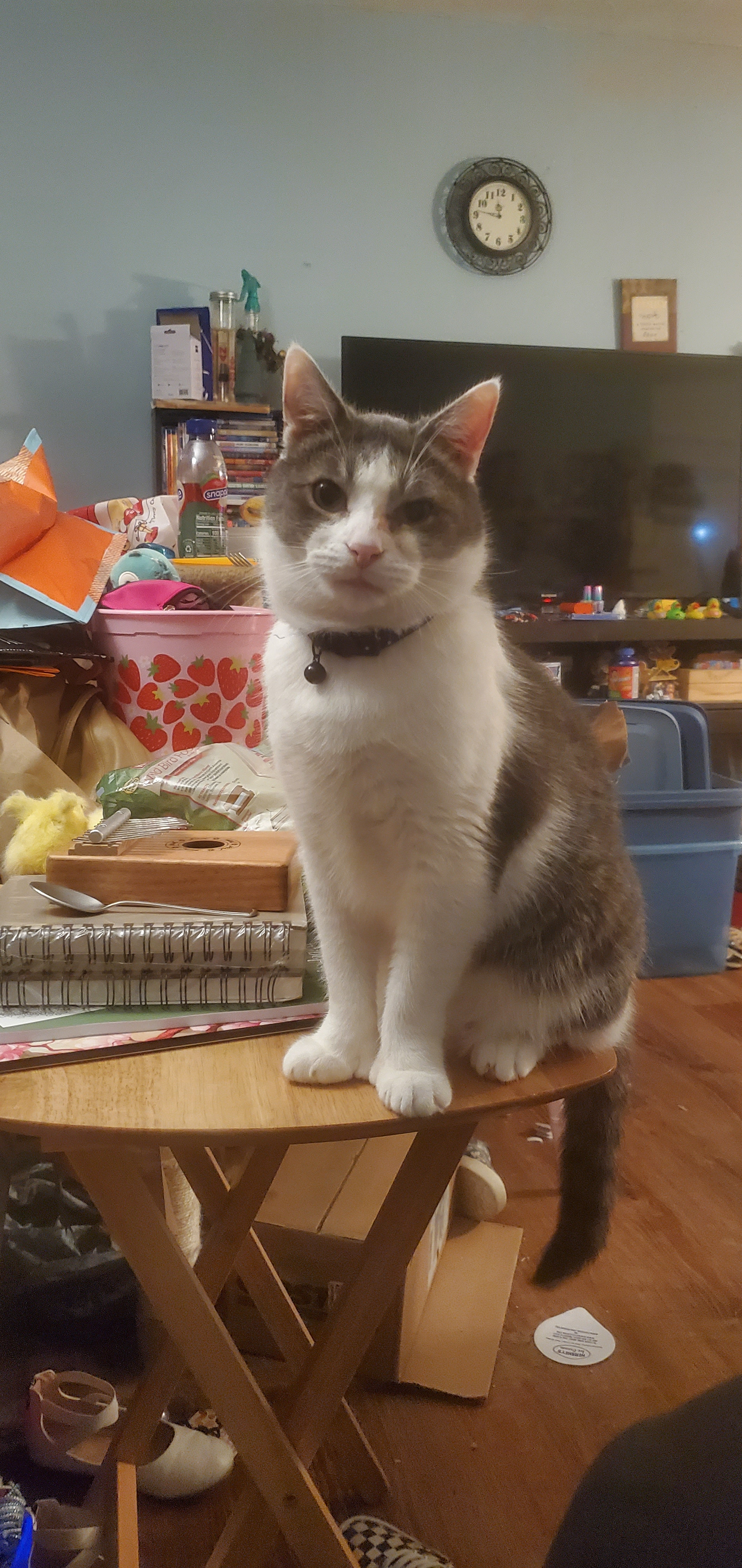 user avatar image for Kay