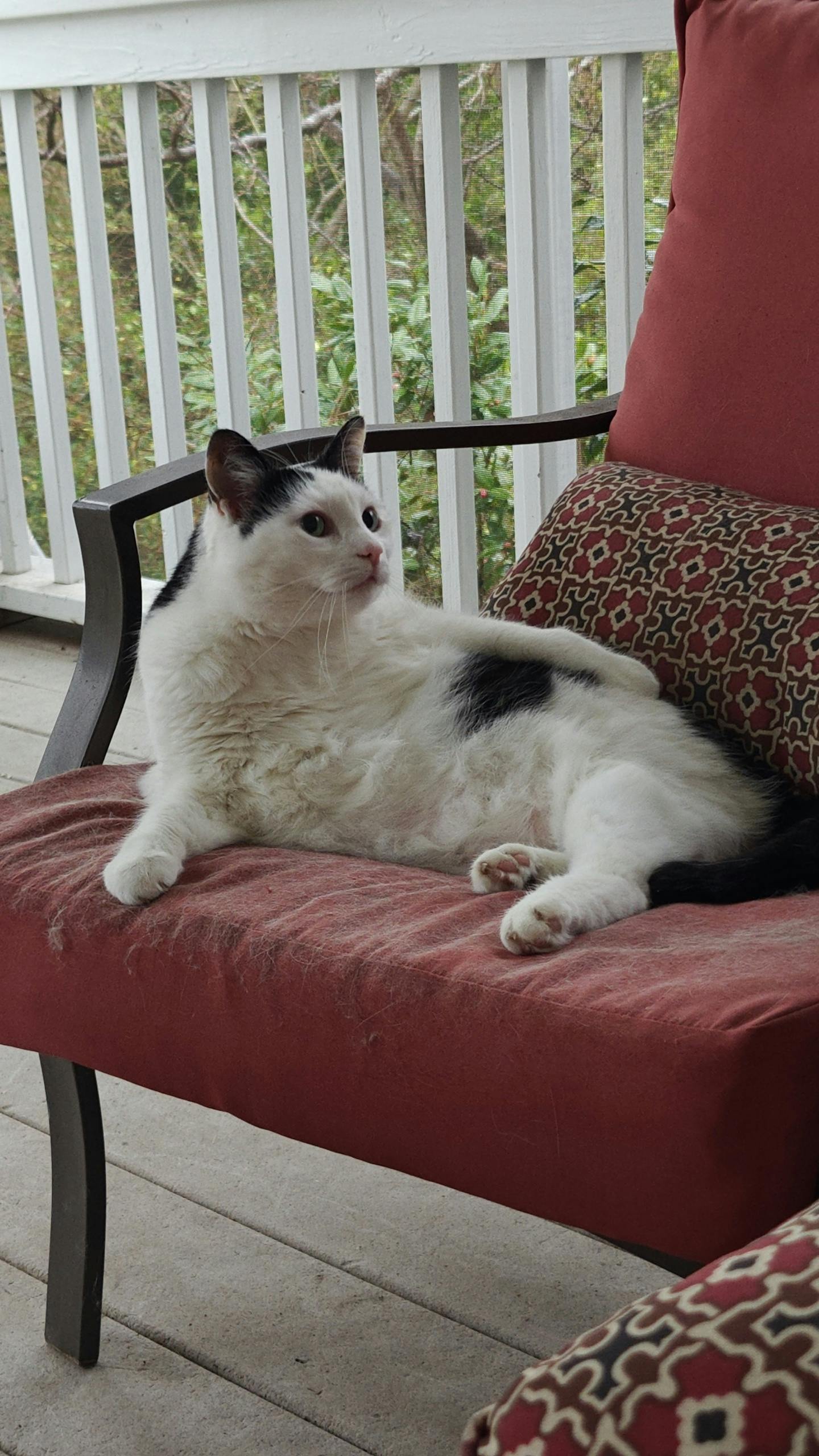 user avatar image for Brad