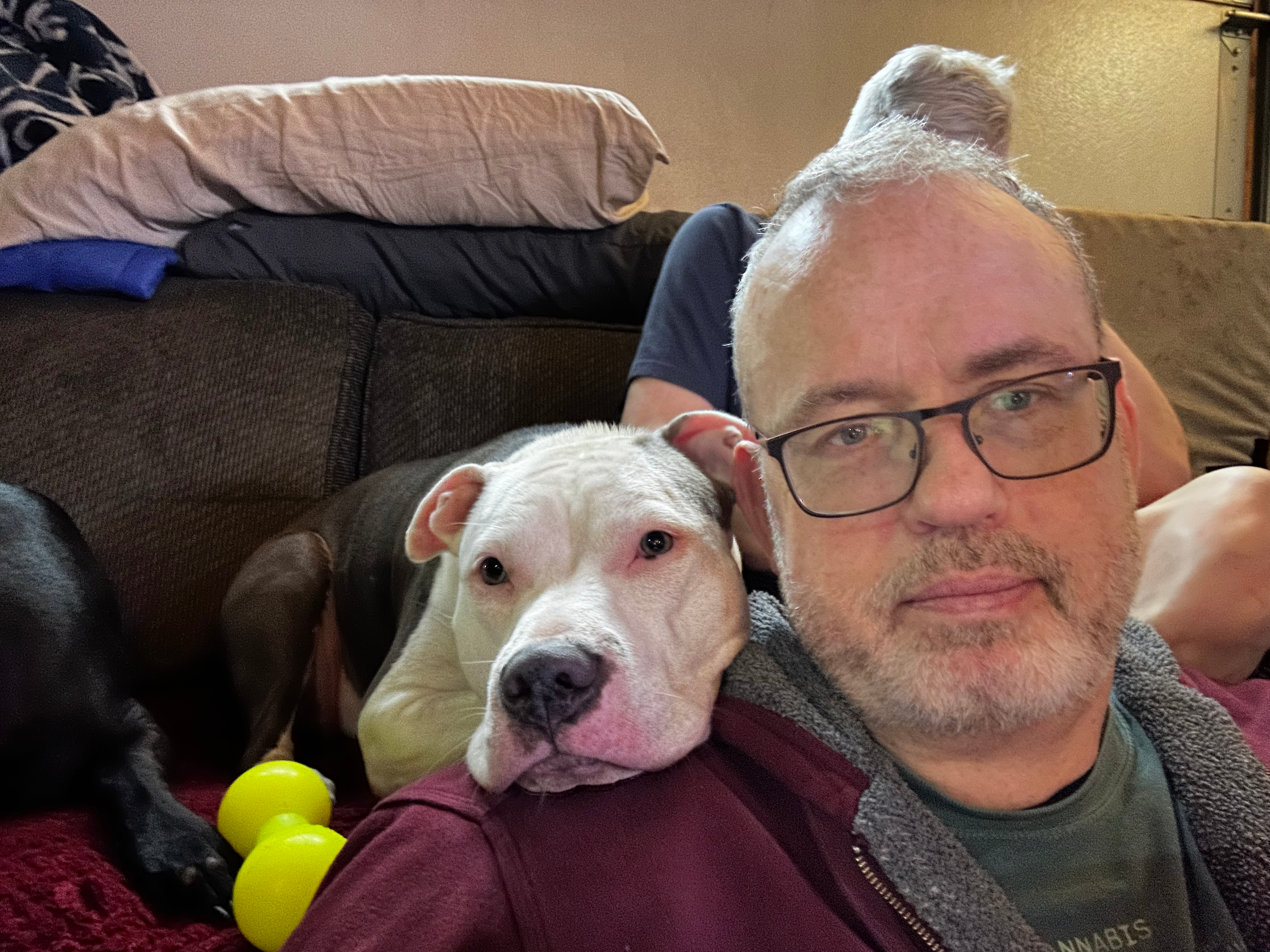 user avatar image for Yob Benami 