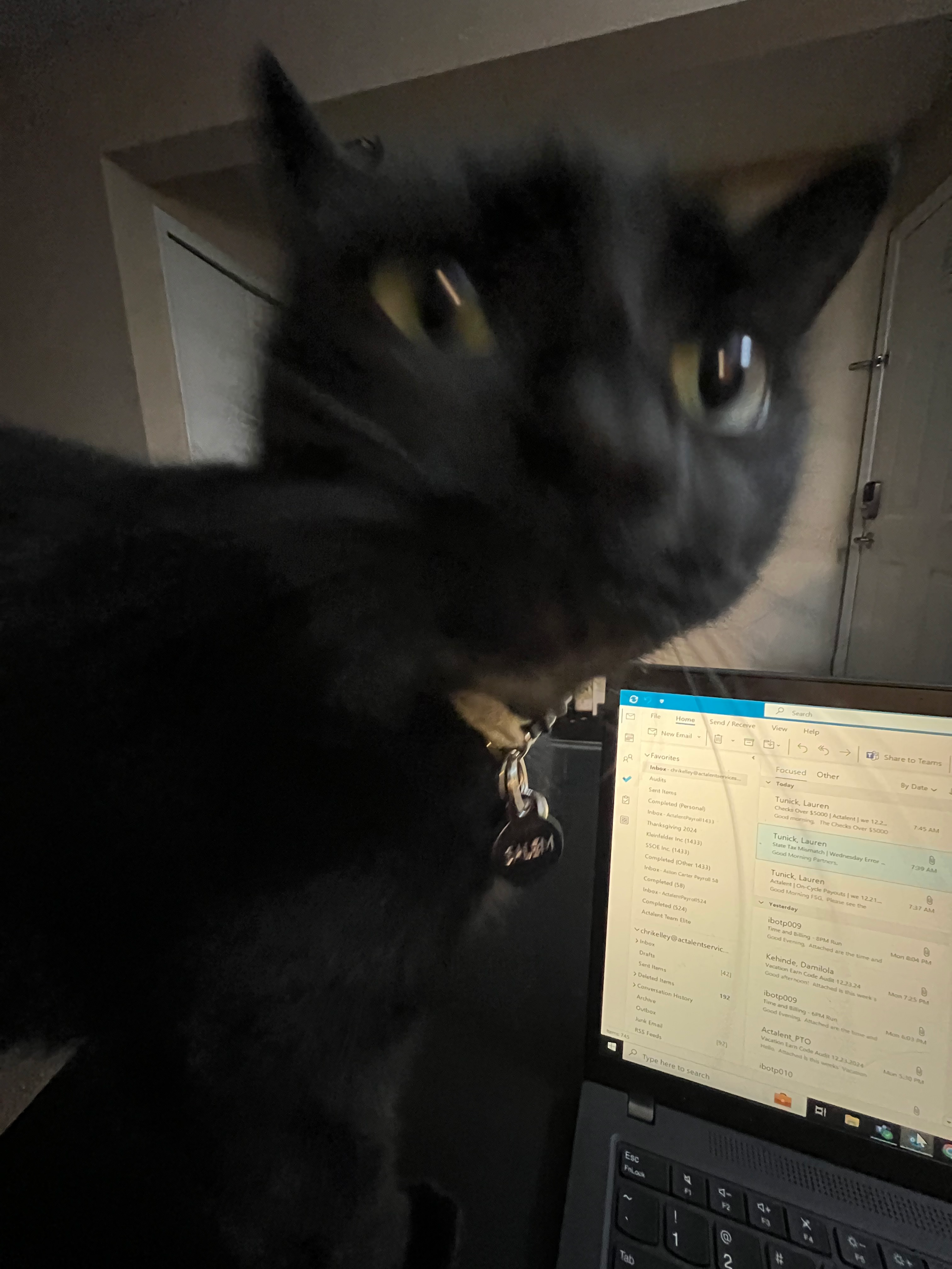 user avatar image for CJEXE