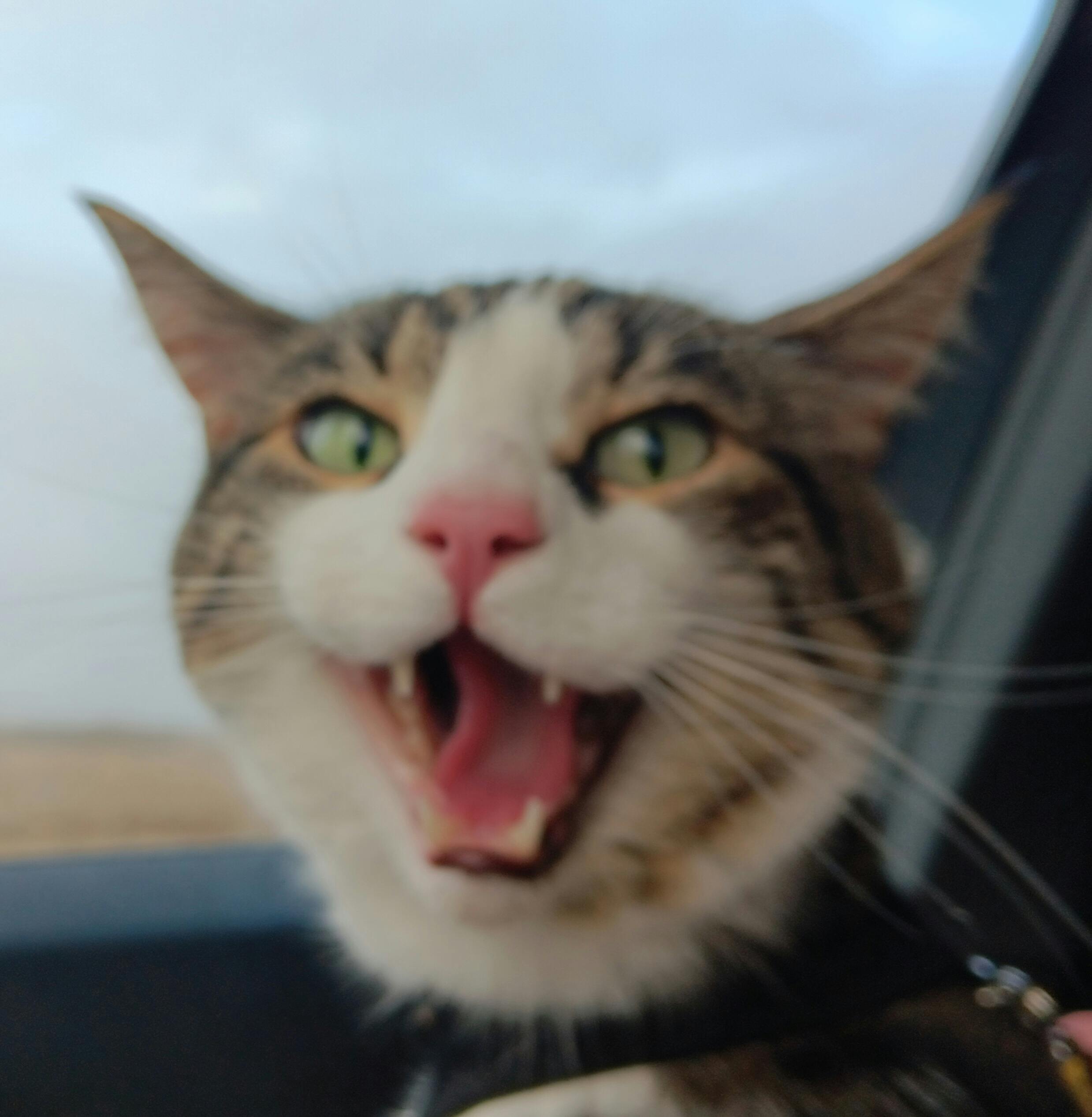 user avatar image for Tobias Toleman