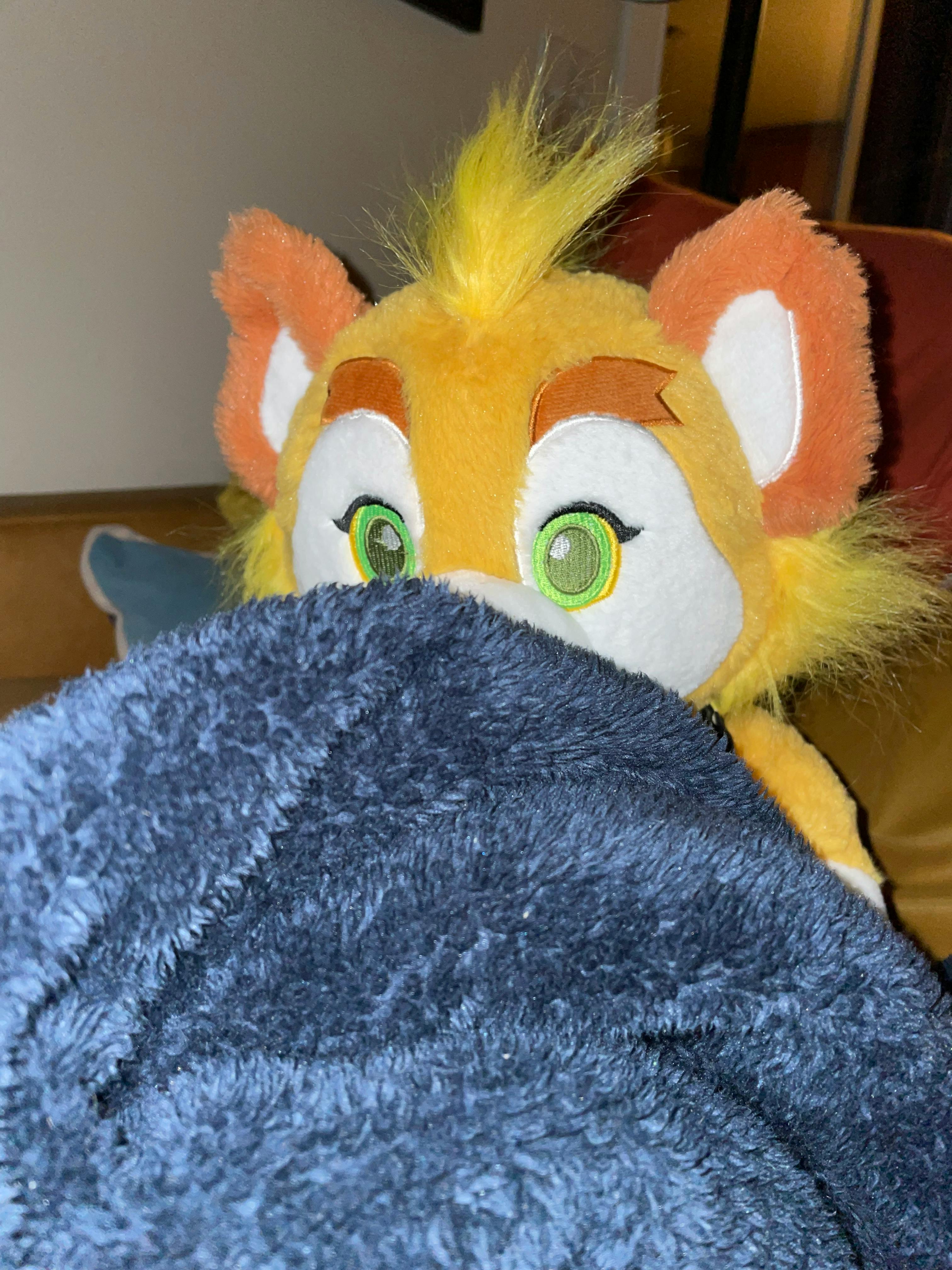 user avatar image for Calico-Husky