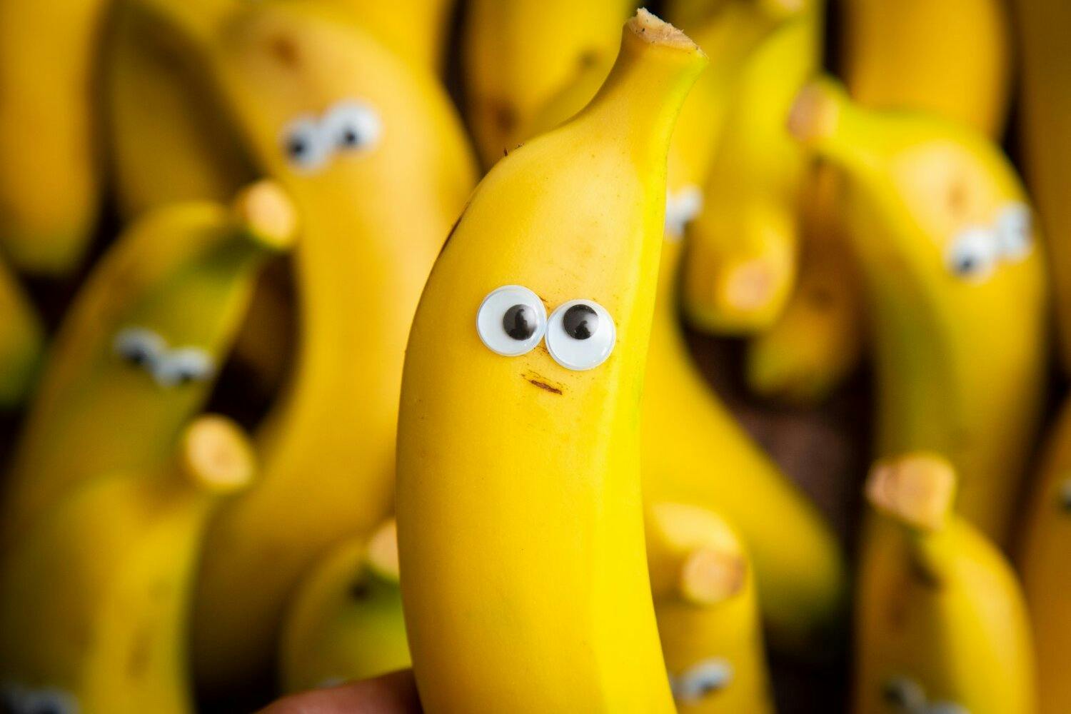 user avatar image for RipeNanners