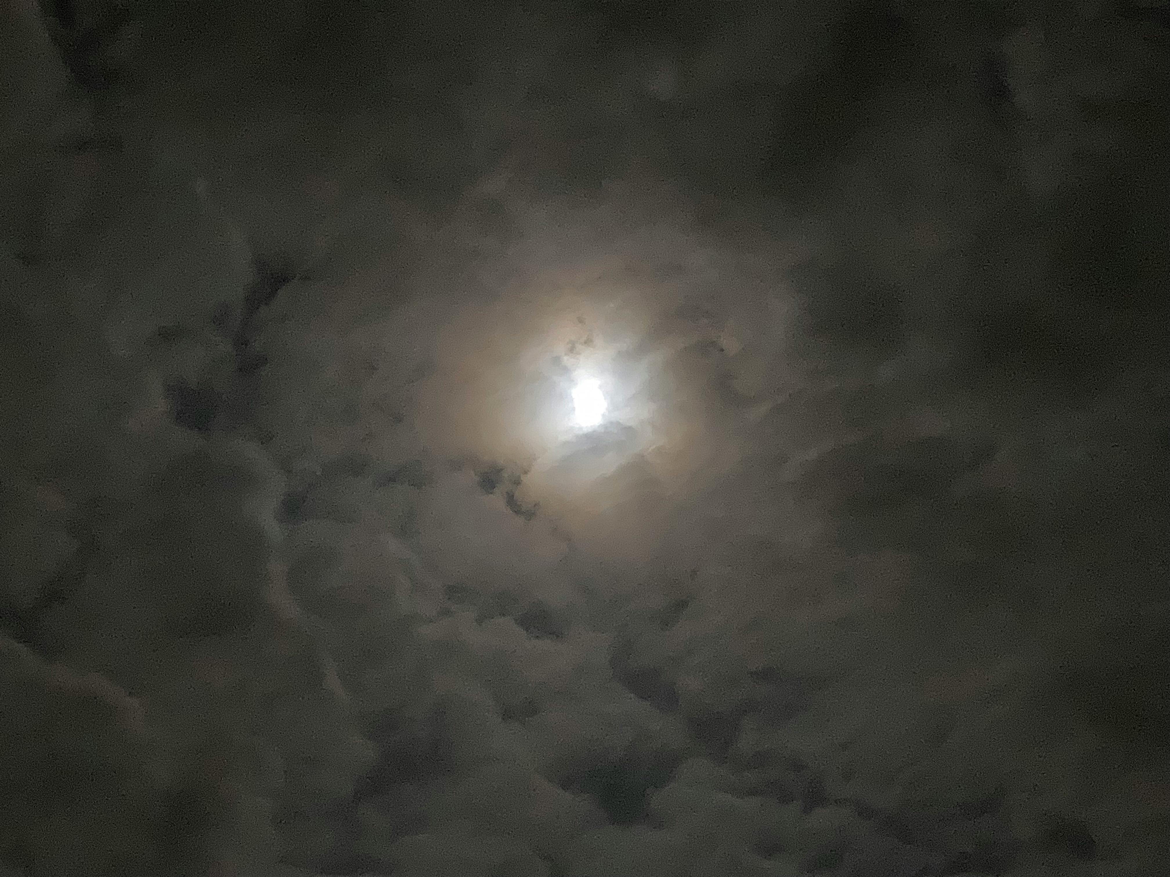 user avatar image for Tim_the_Unlucky