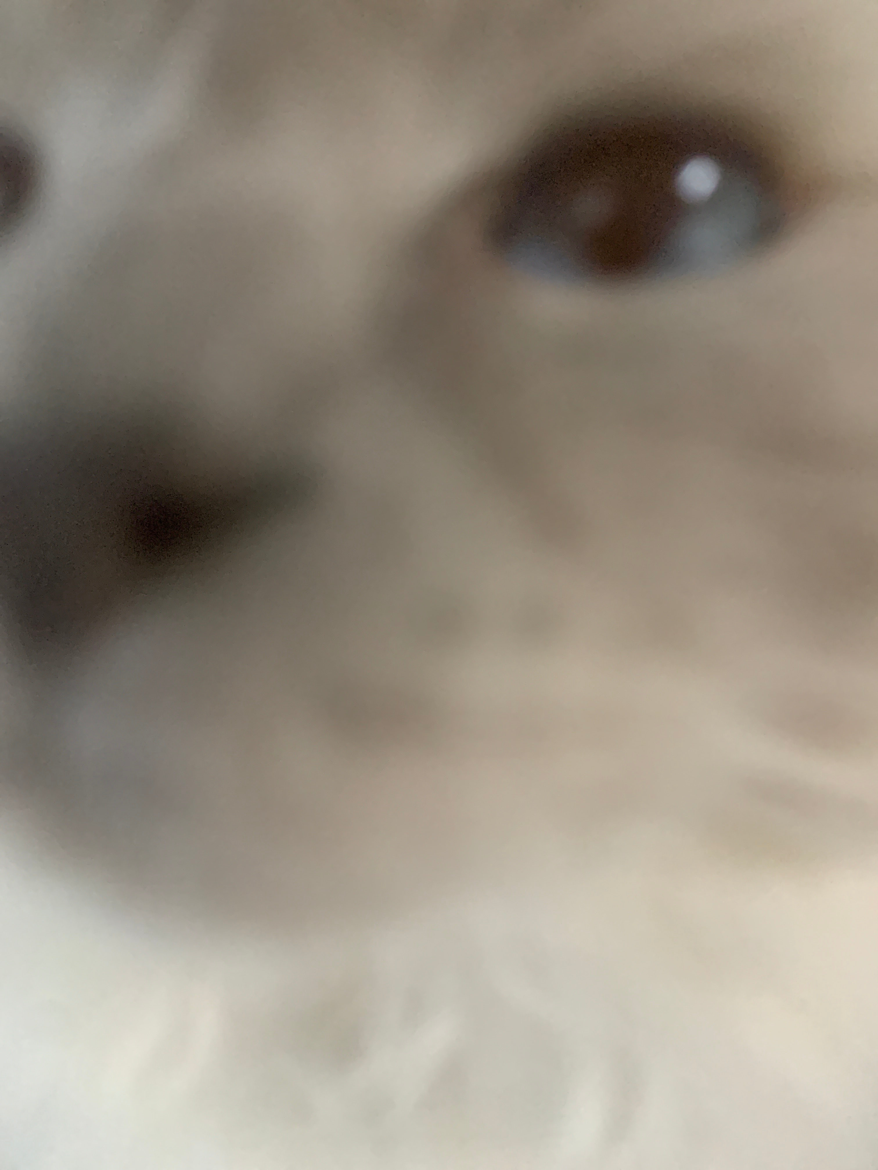 user avatar image for Murpski