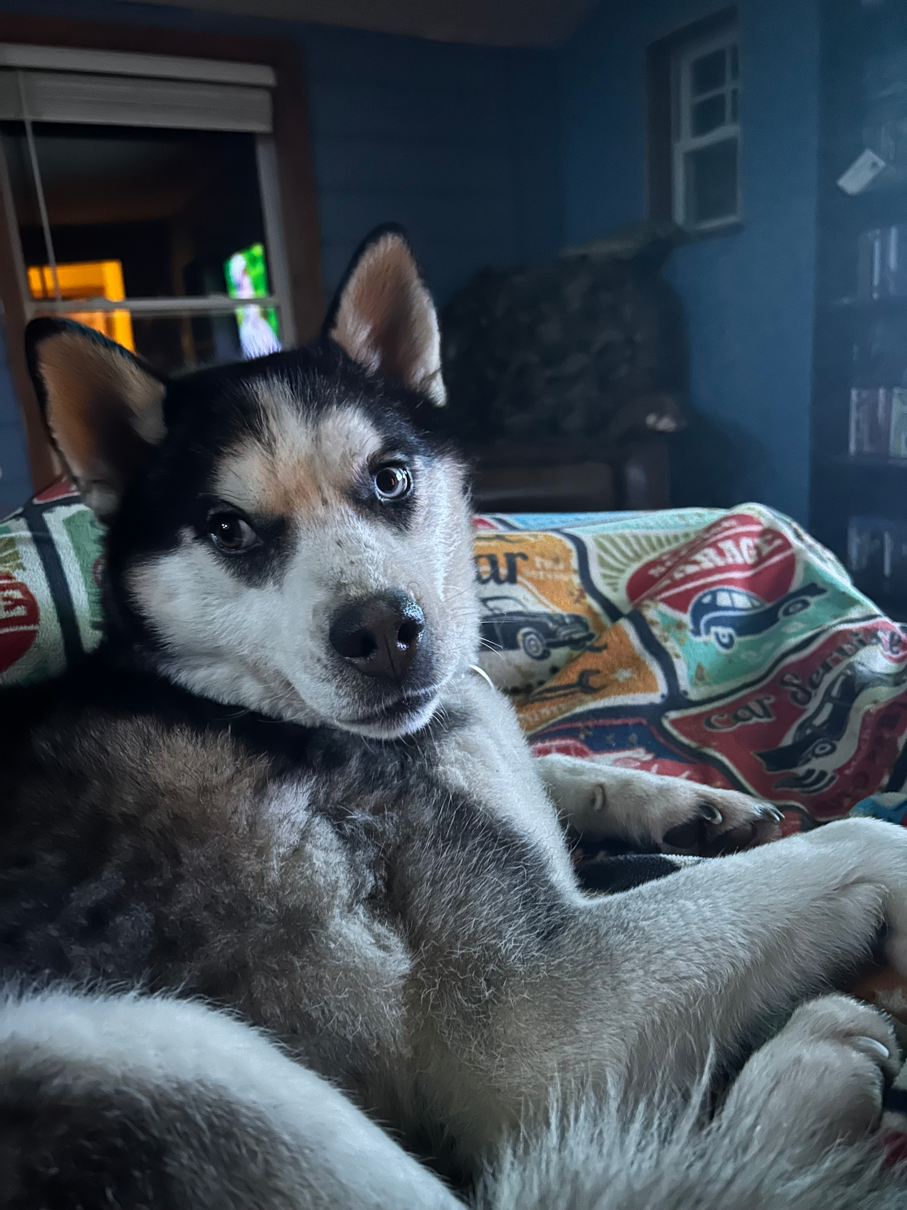 user avatar image for Jen passetto 