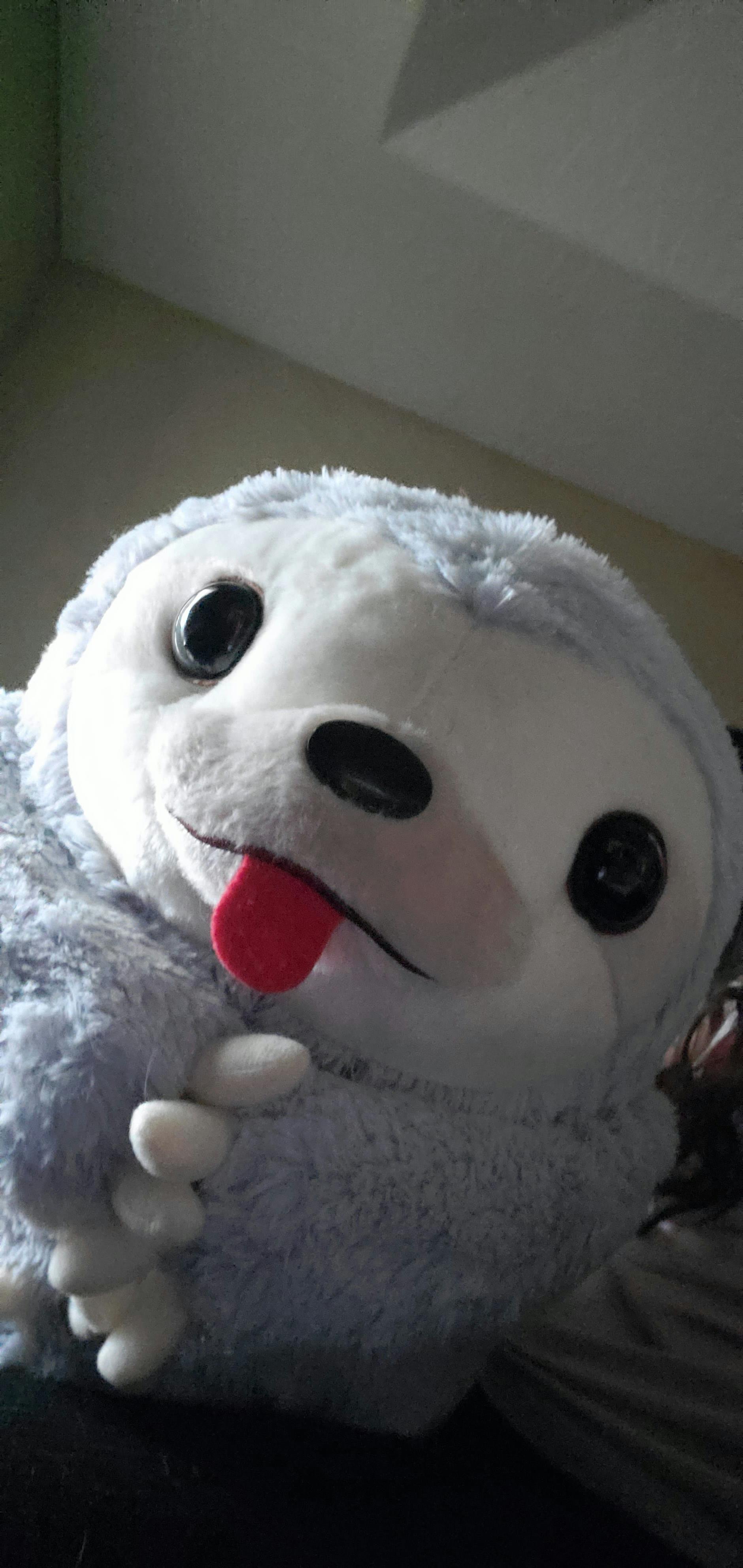 user avatar image for Shelby