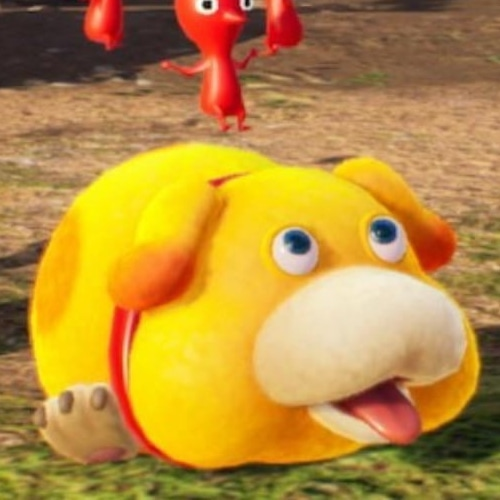 user avatar image for zephics