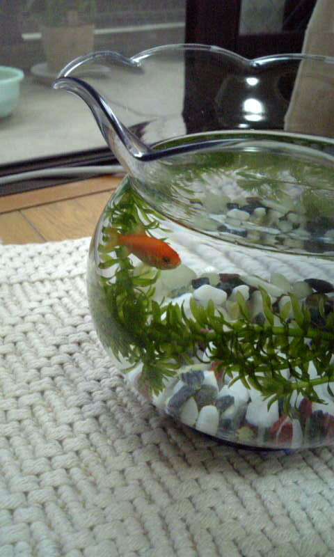 user avatar image for kburjdm8f