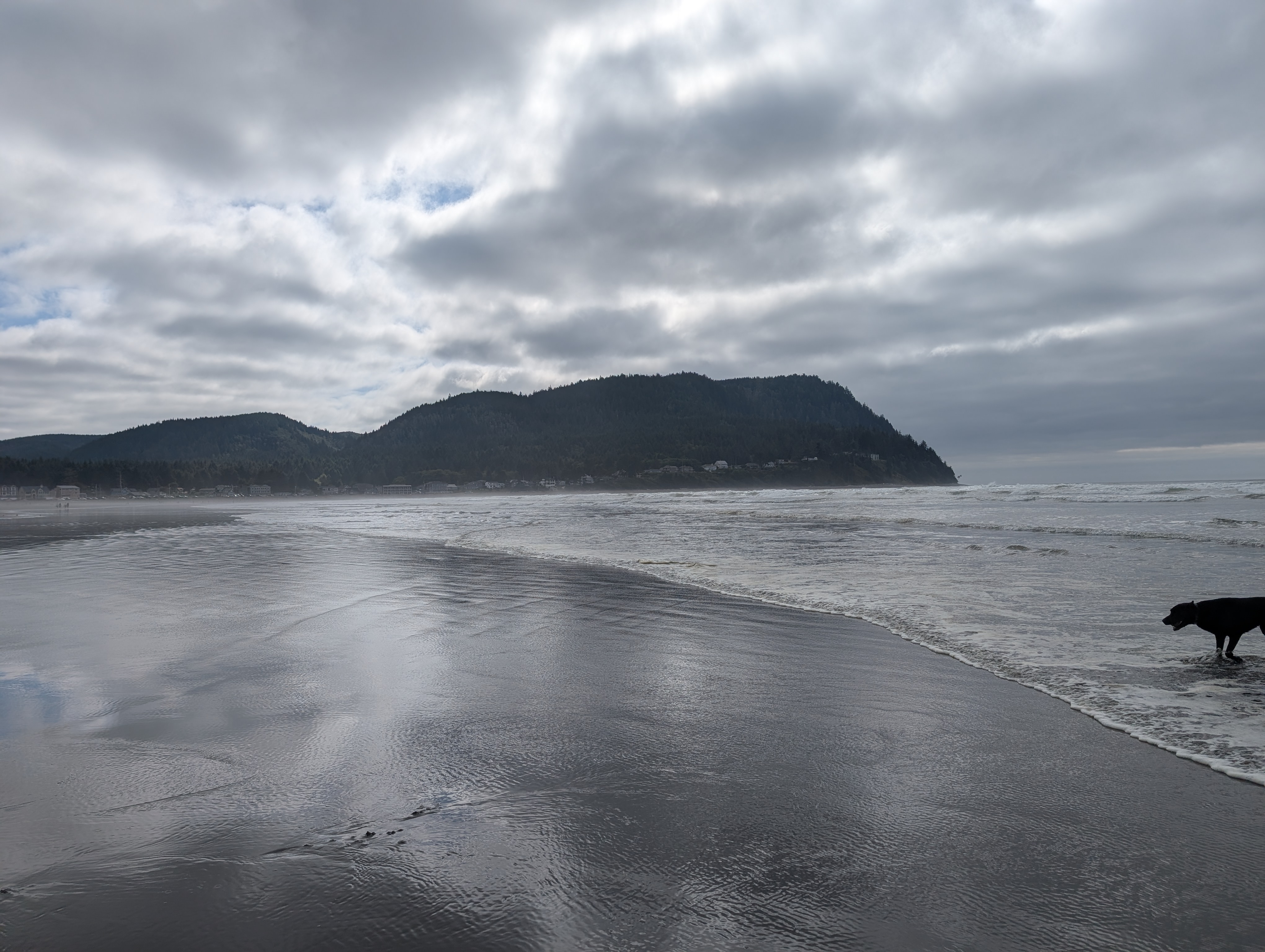 user avatar image for Jeremy