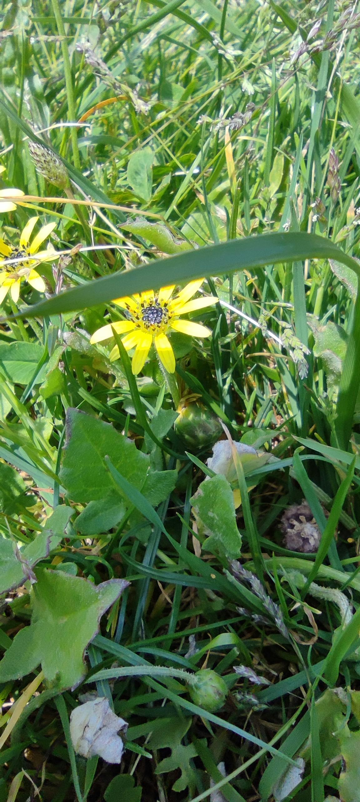 user avatar image for heiloku