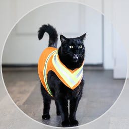 user avatar image for DV Demoni 