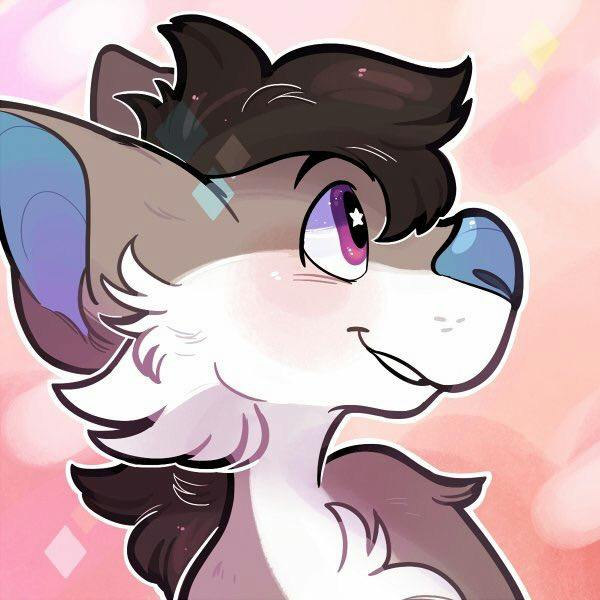 user avatar image for Felix
