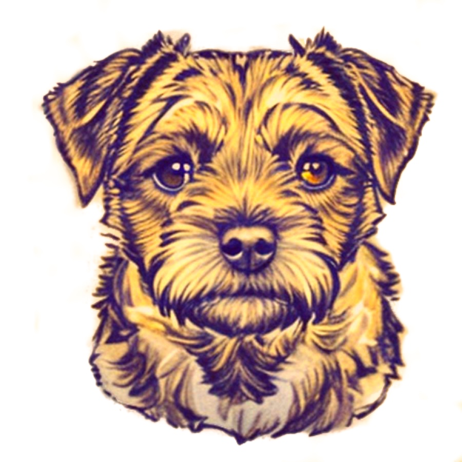 user avatar image for Jason Wilson