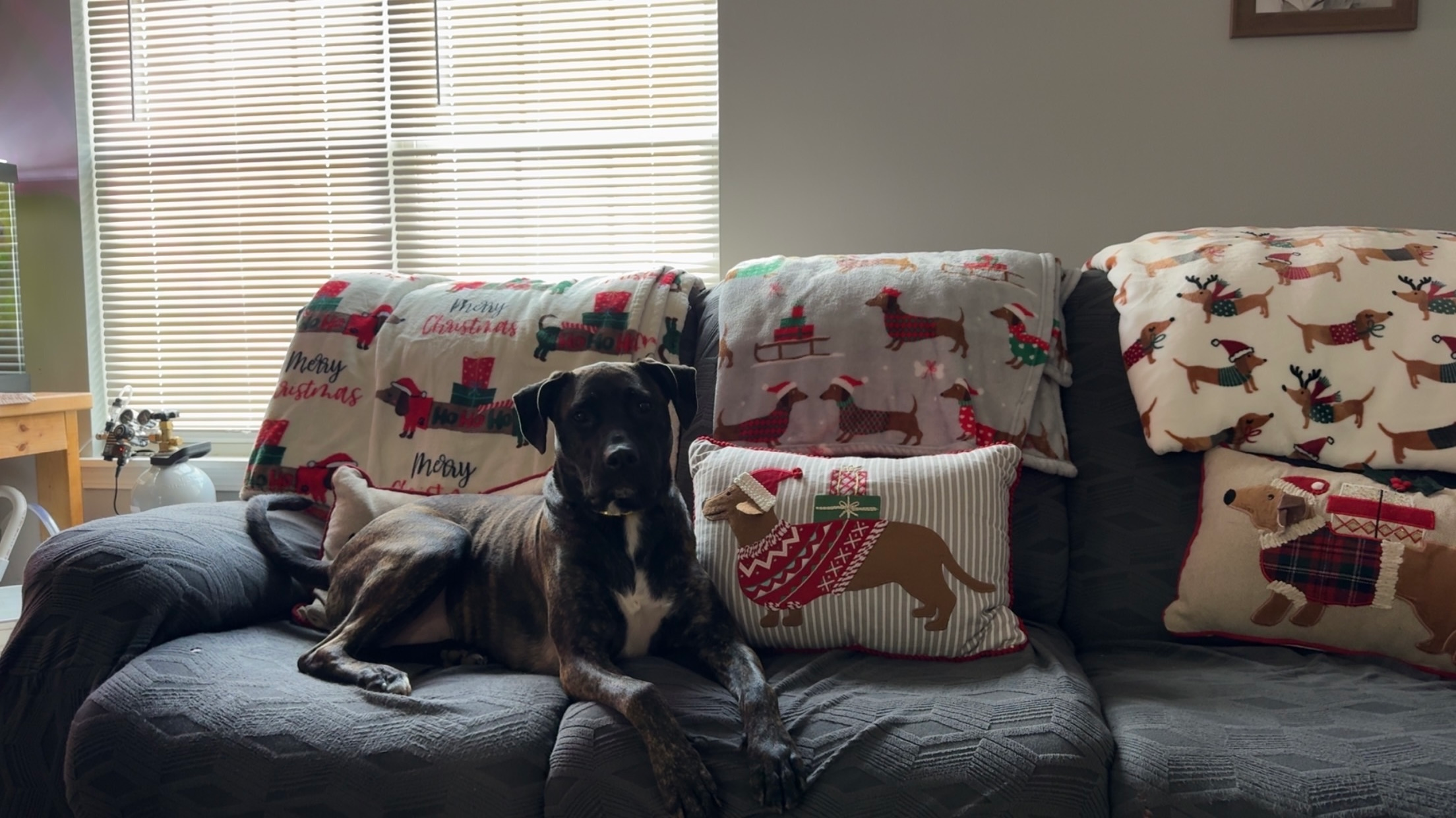 user avatar image for Justin 