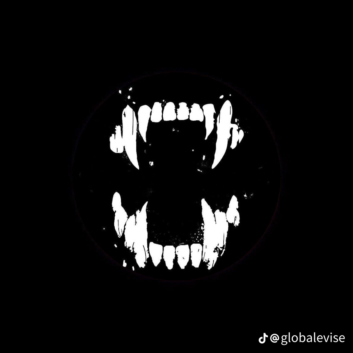 user avatar image for Kyle P.