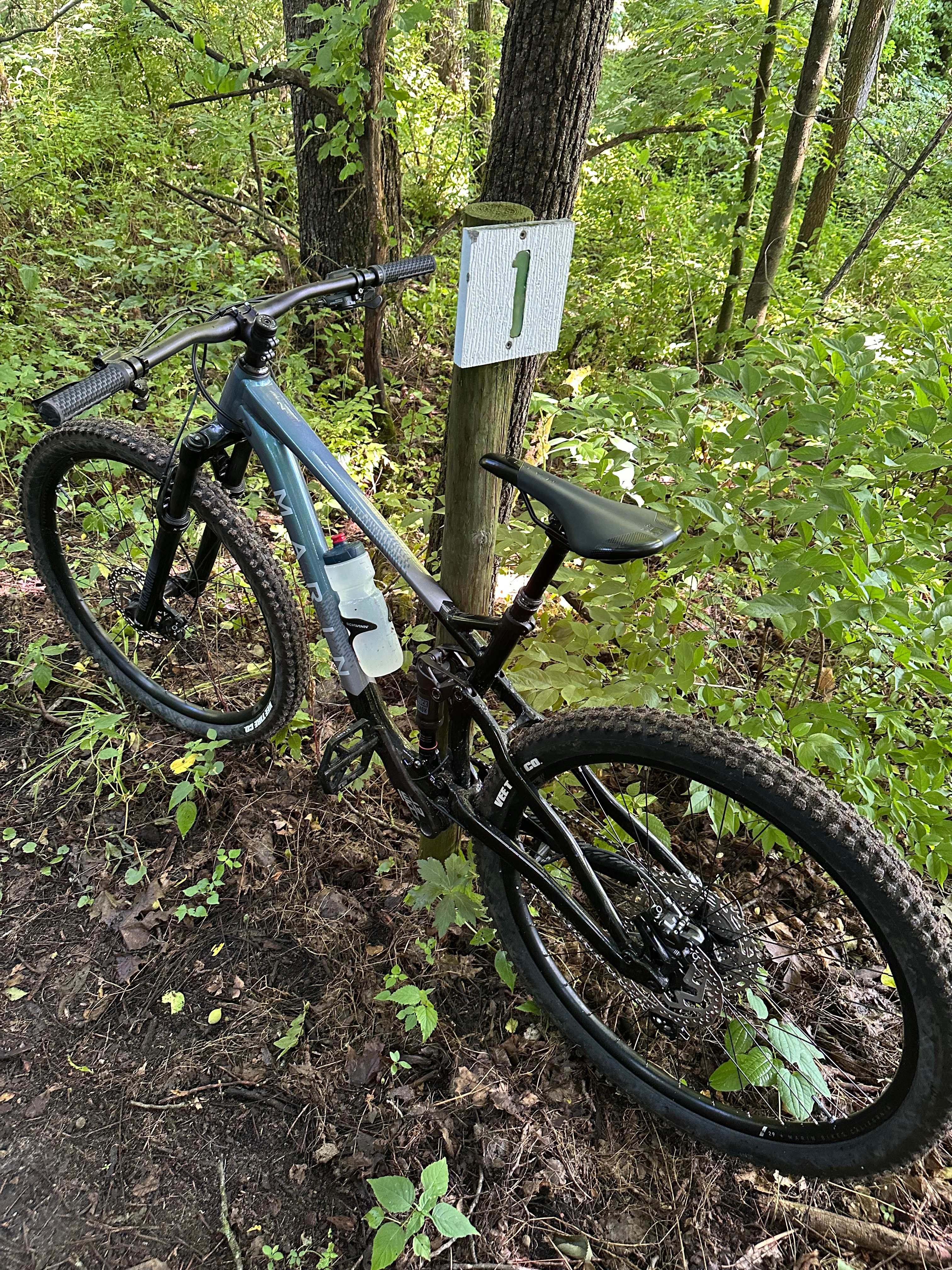 user avatar image for Rob