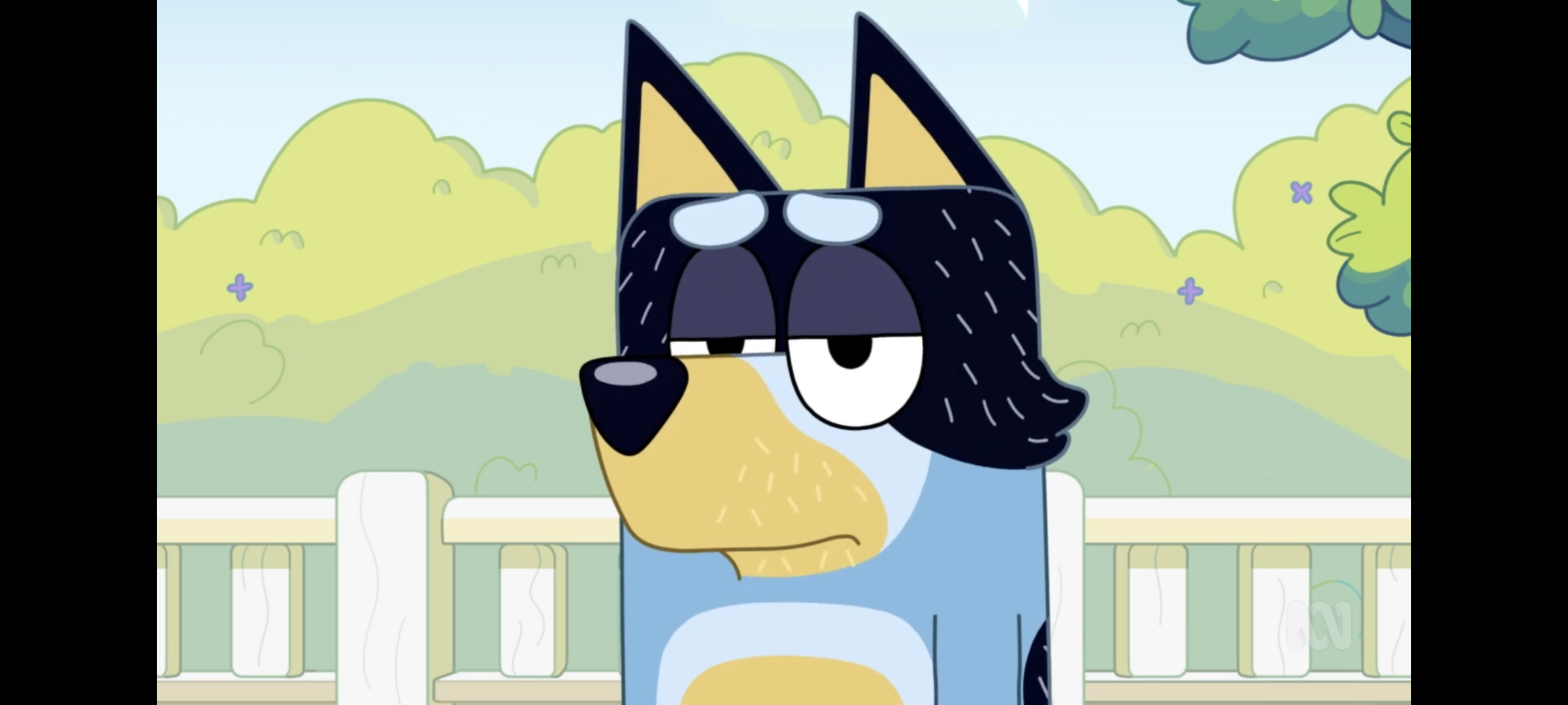 user avatar image for Ash