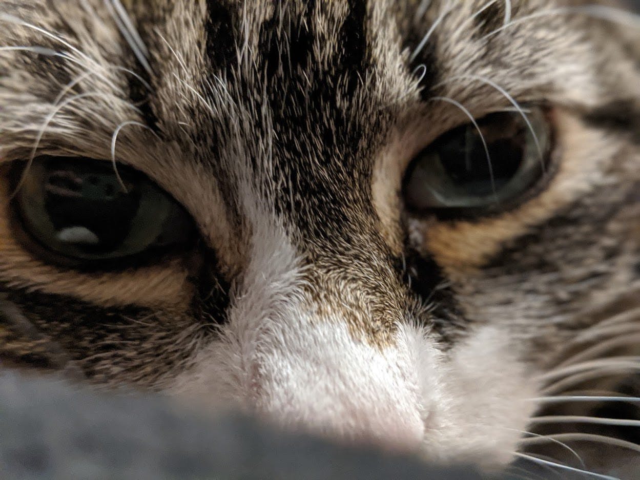 user avatar image for weather227