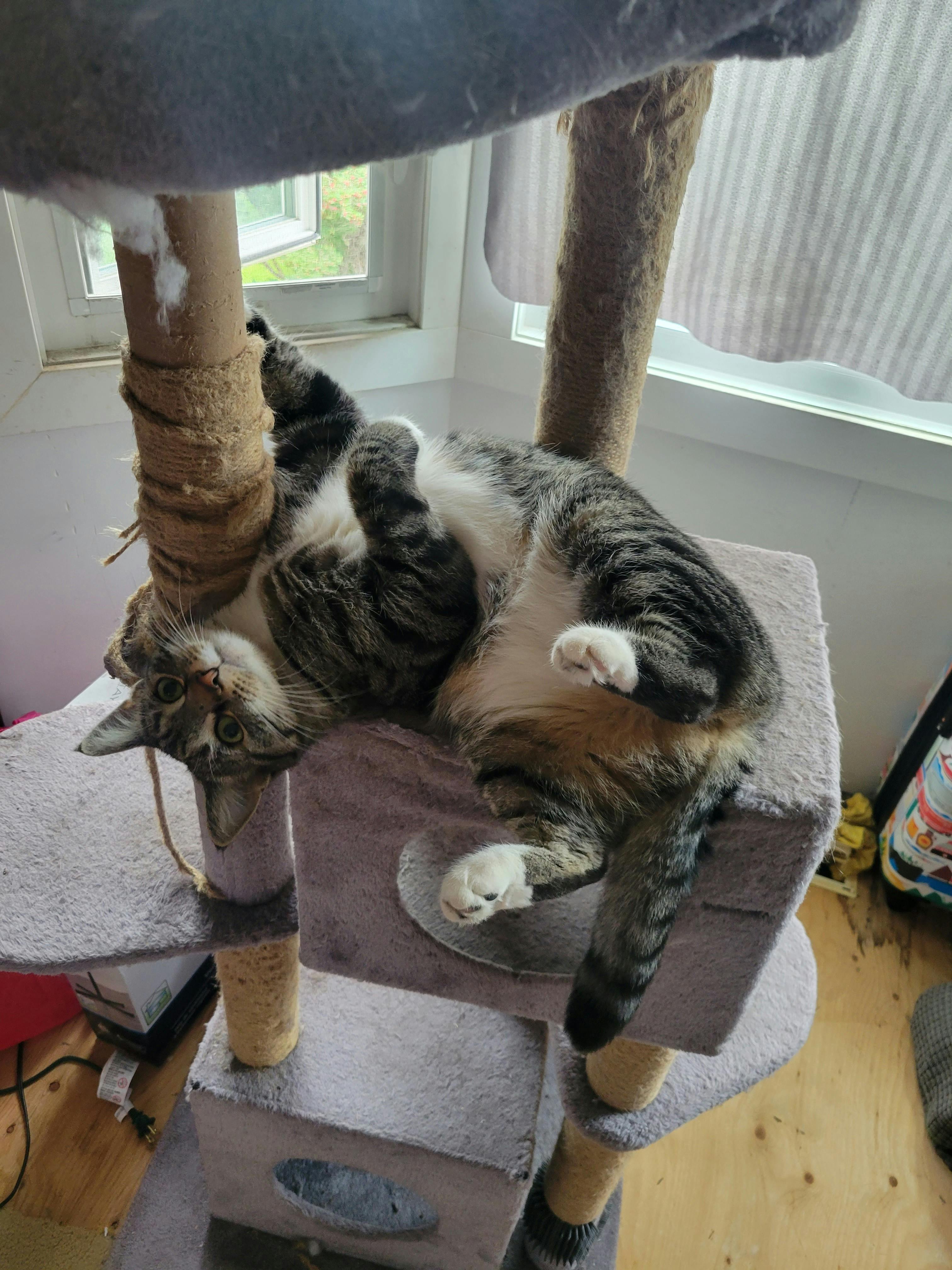 user avatar image for Clay Verschuren