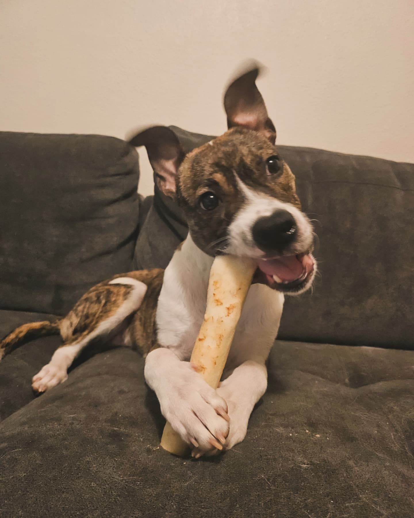 user avatar image for Alexi