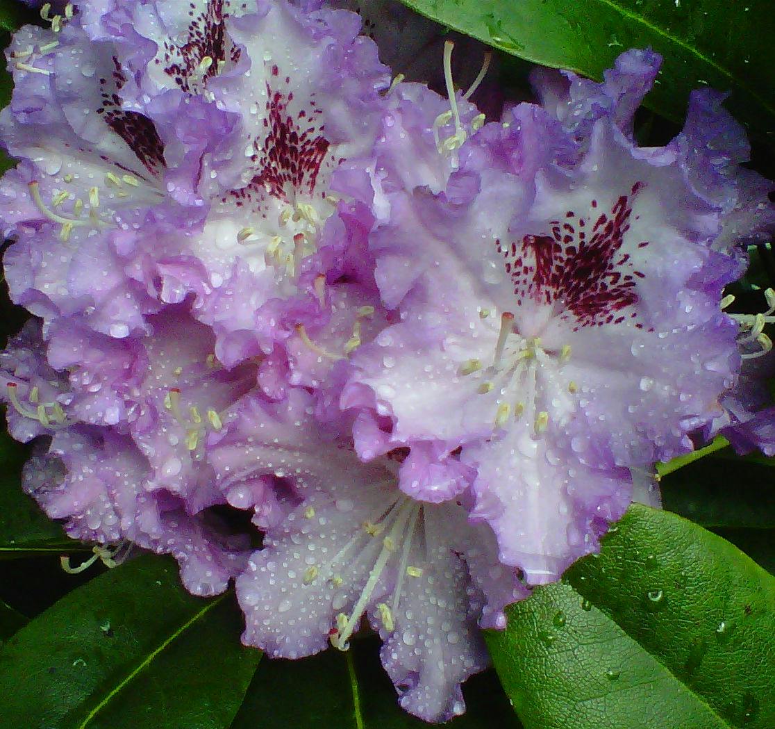 user avatar image for justkaren