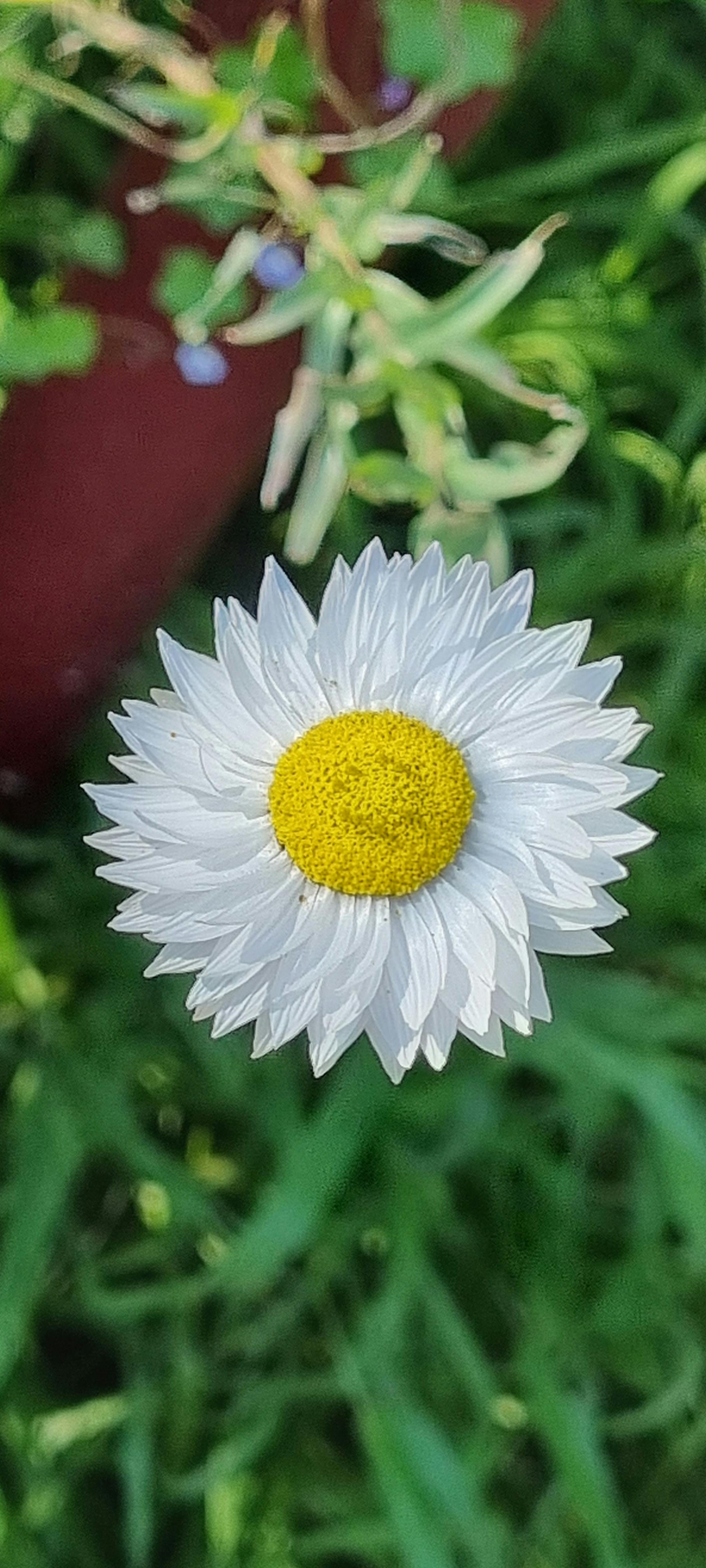 user avatar image for Desia Colgan