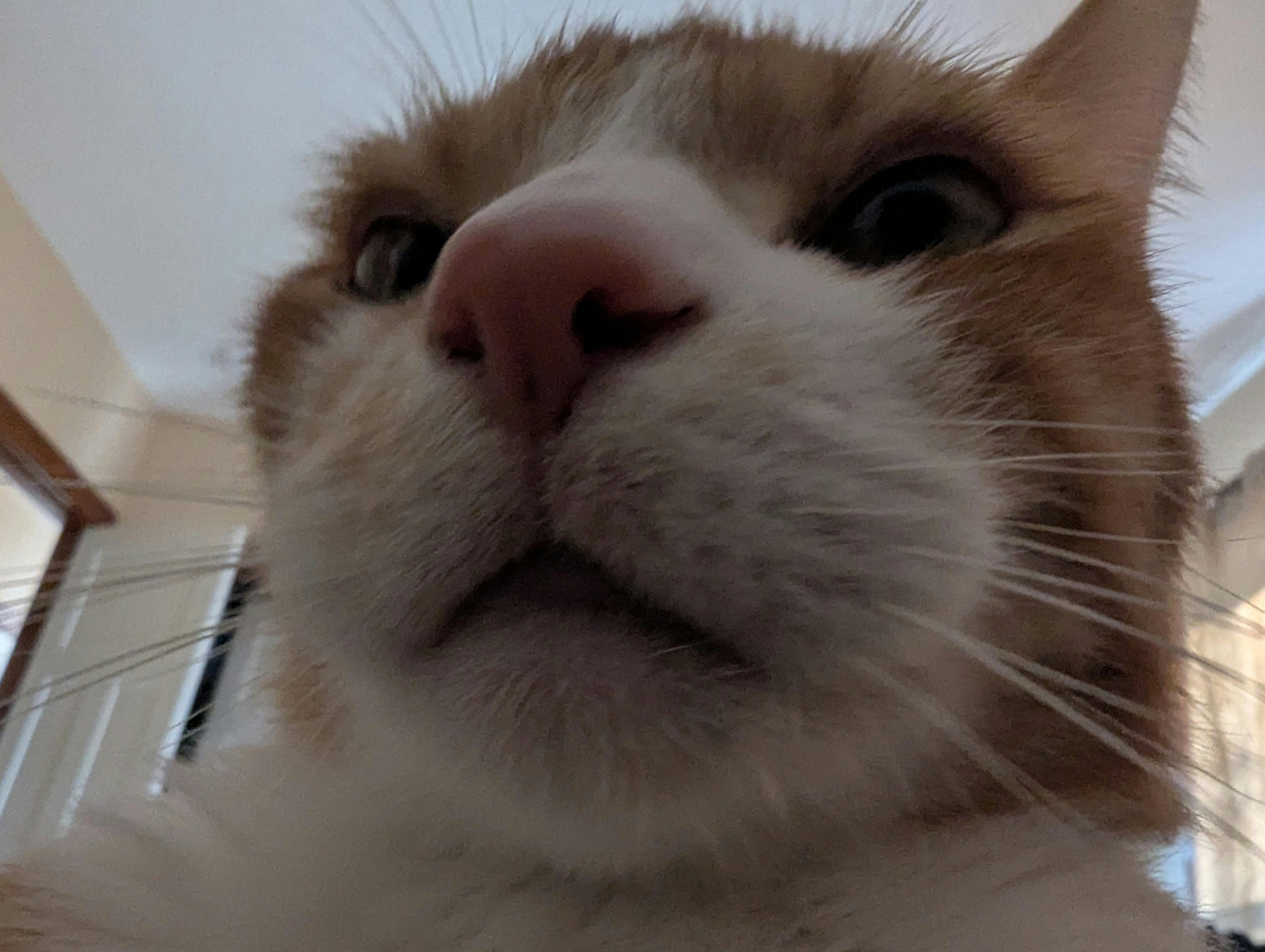 user avatar image for Cindy