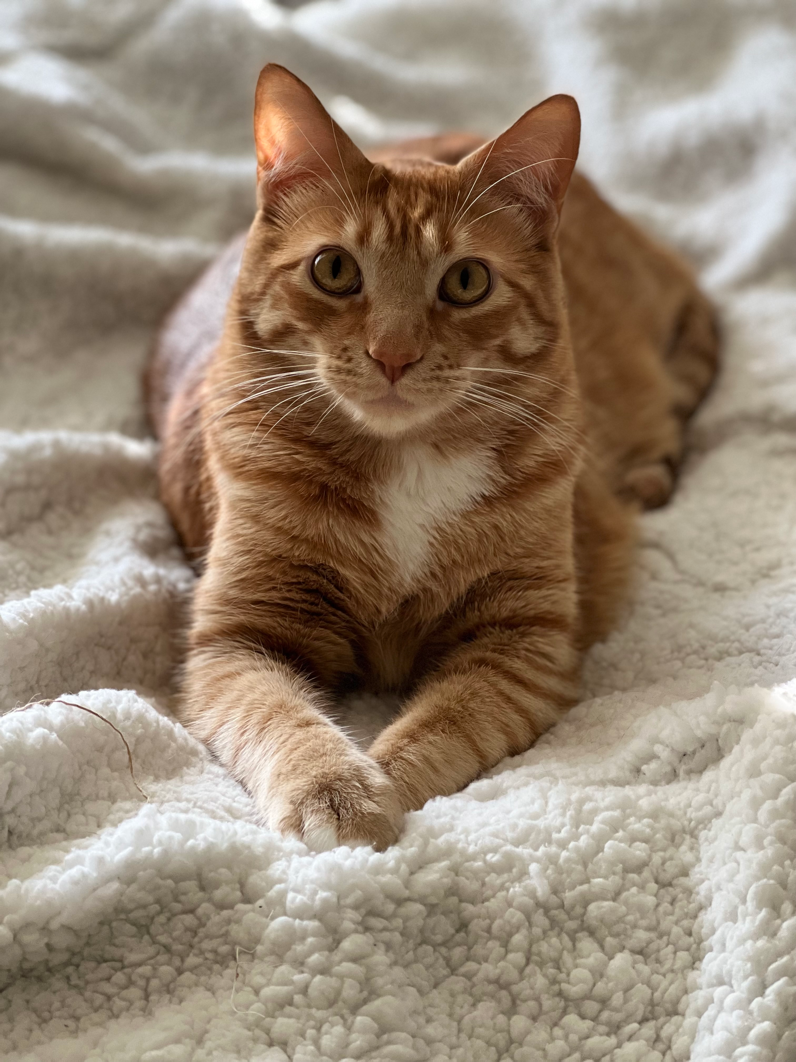 user avatar image for Misty 