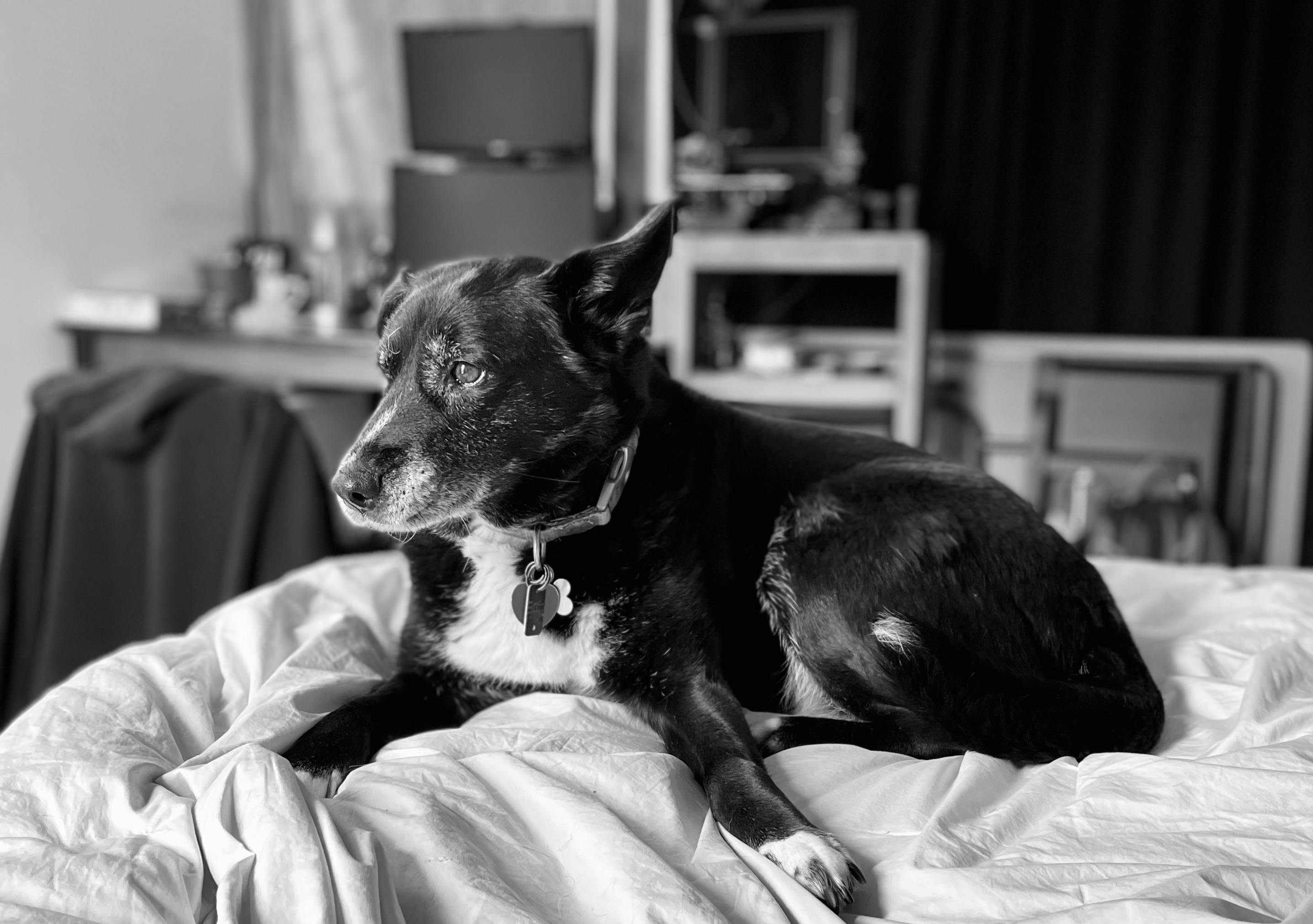 user avatar image for Adelro28