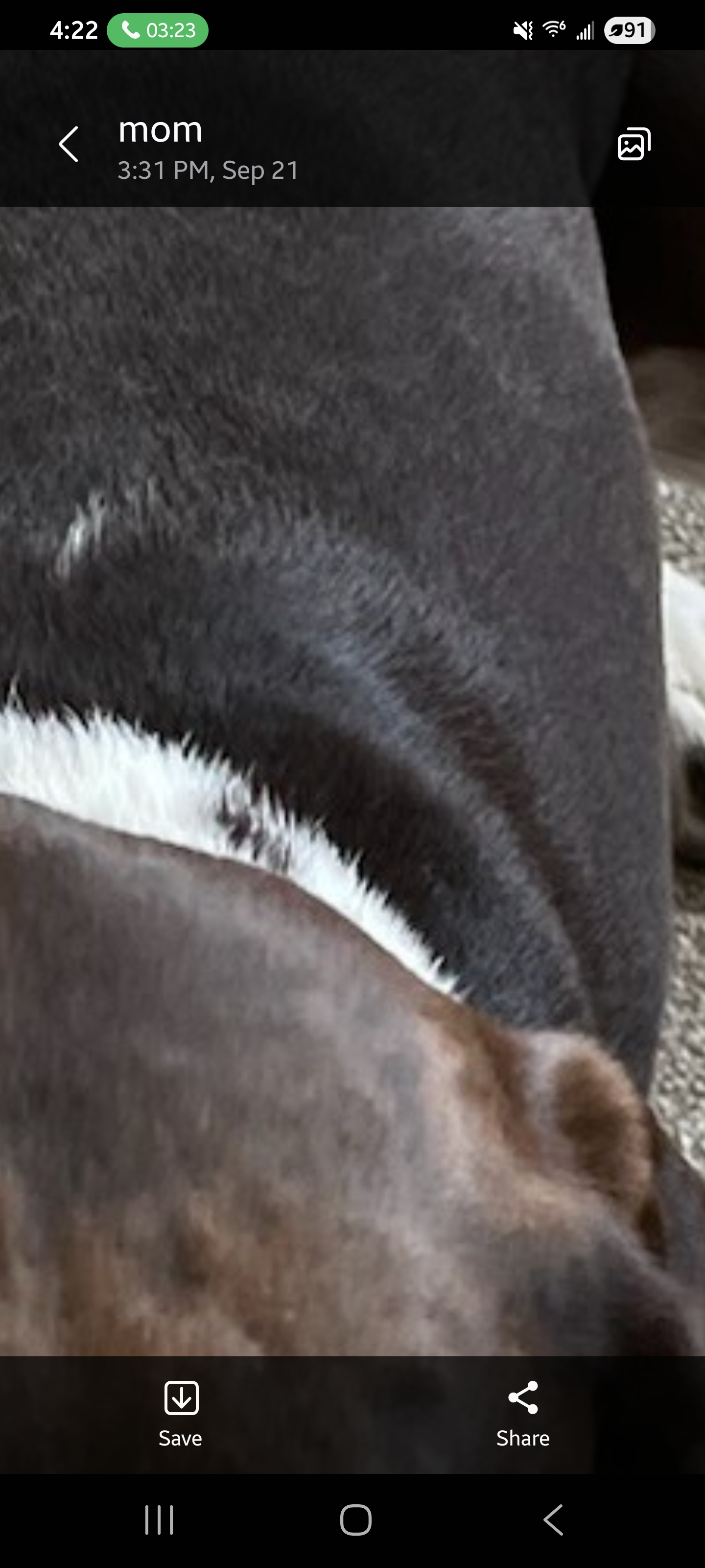 user avatar image for vivalaotto 