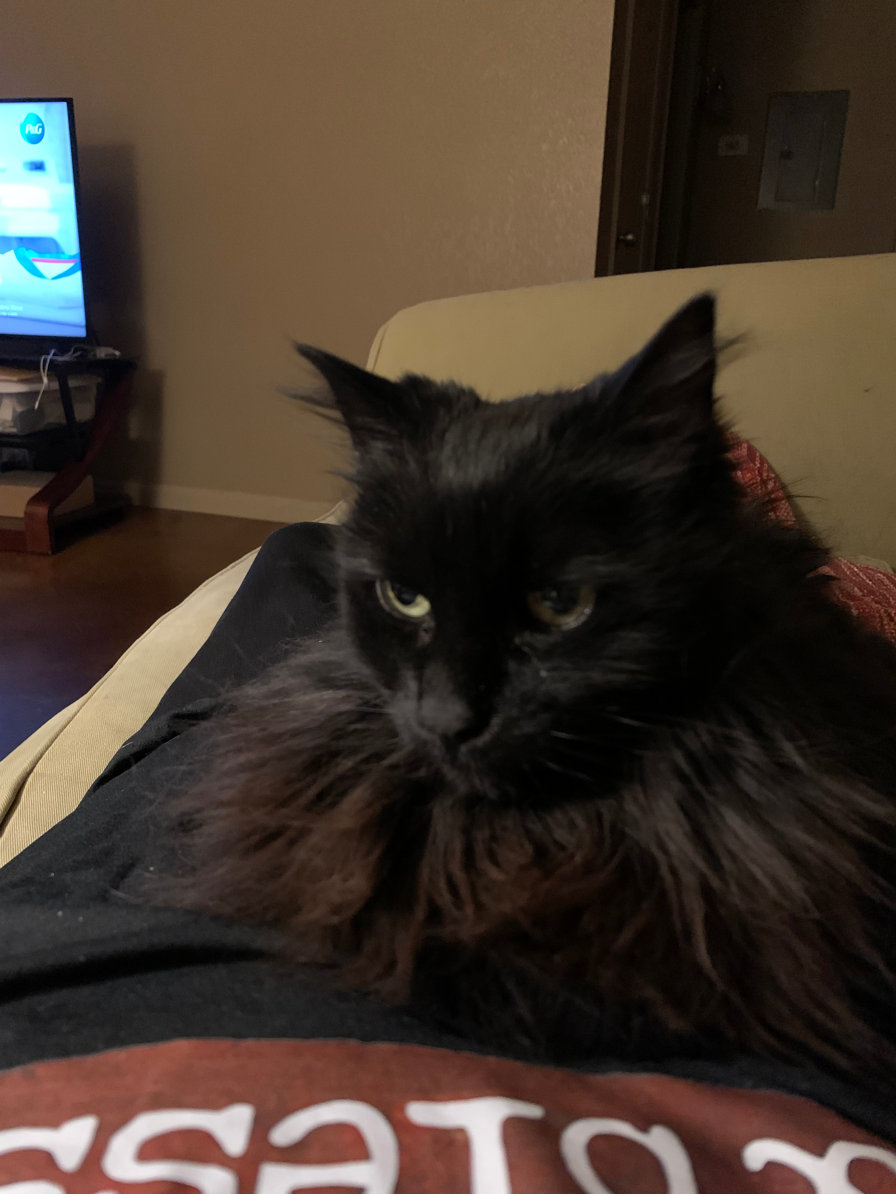 user avatar image for Karen Thompson 