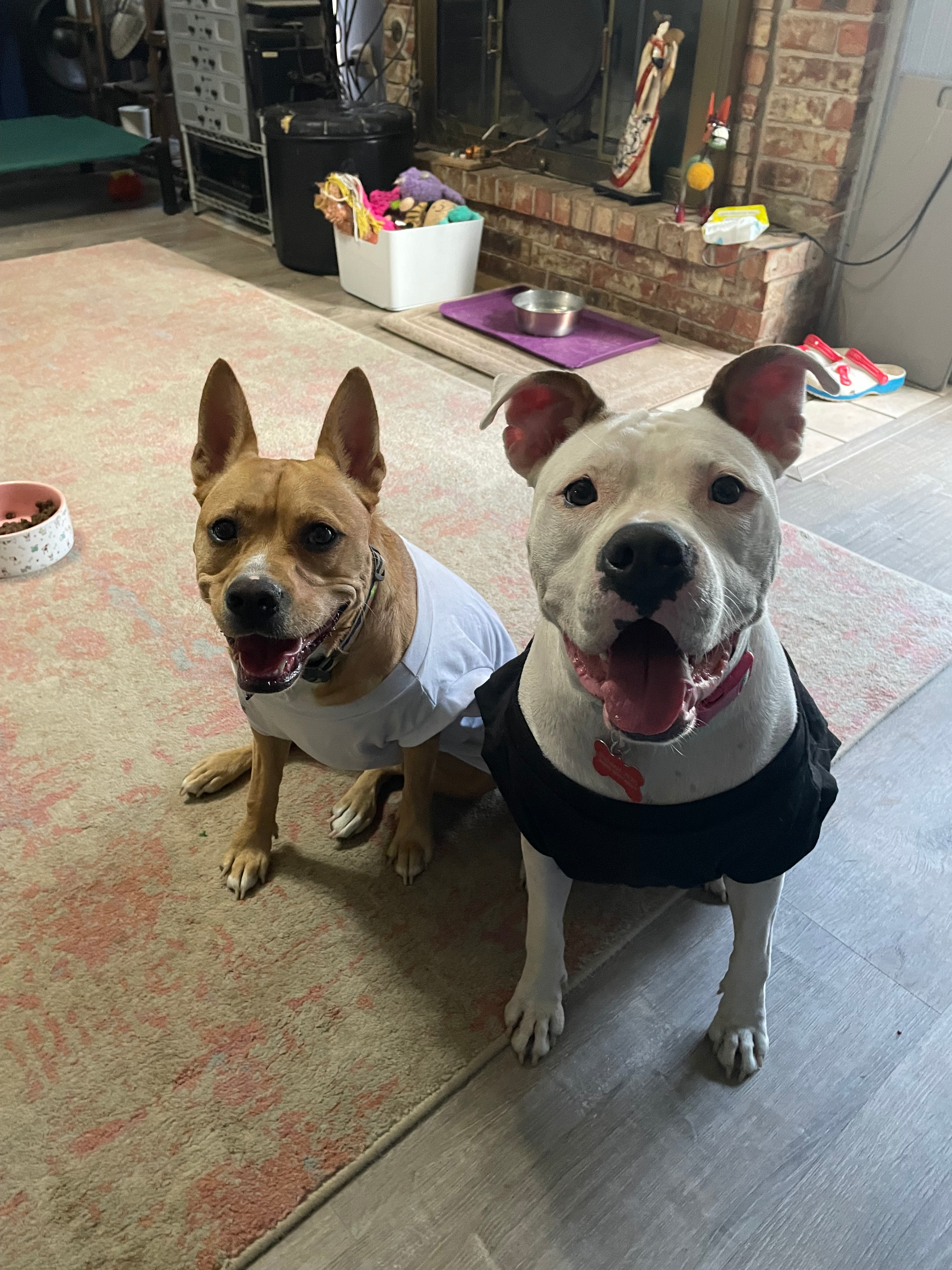 user avatar image for Maria