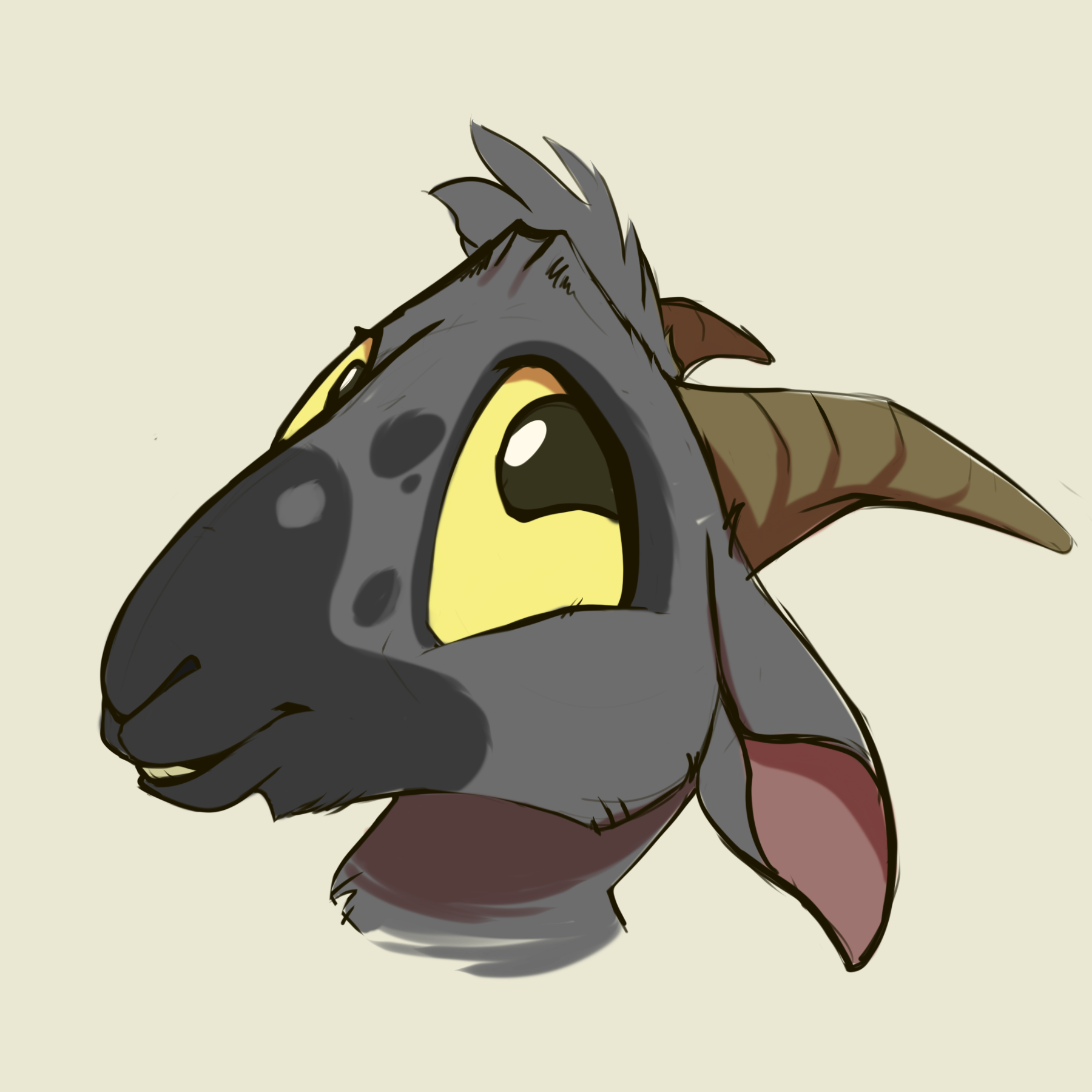 user avatar image for YeloRoo 