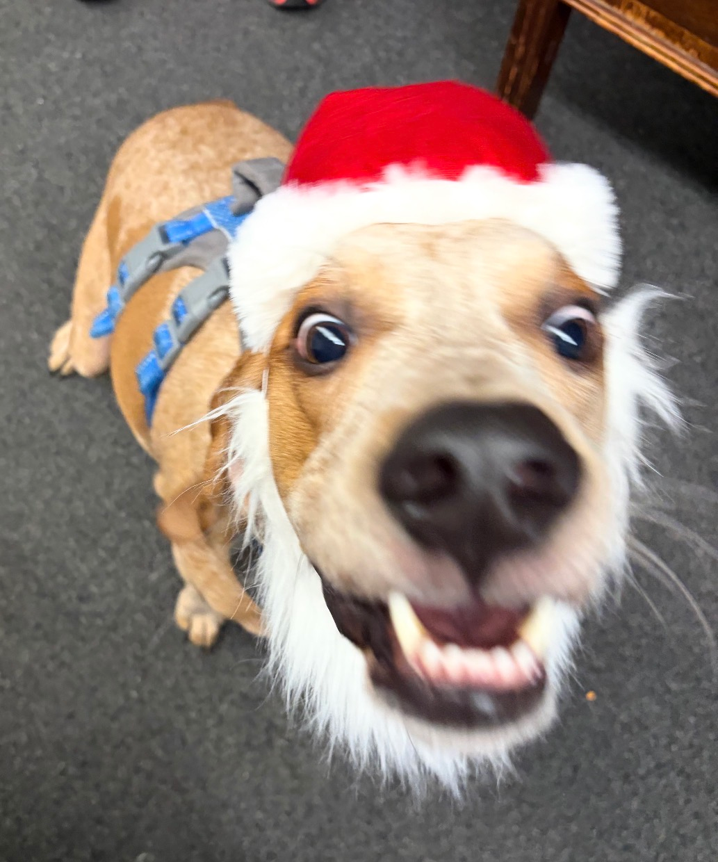 user avatar image for Cameo Fisher