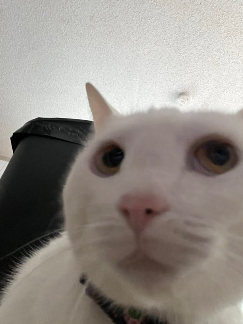 user avatar image for kisse