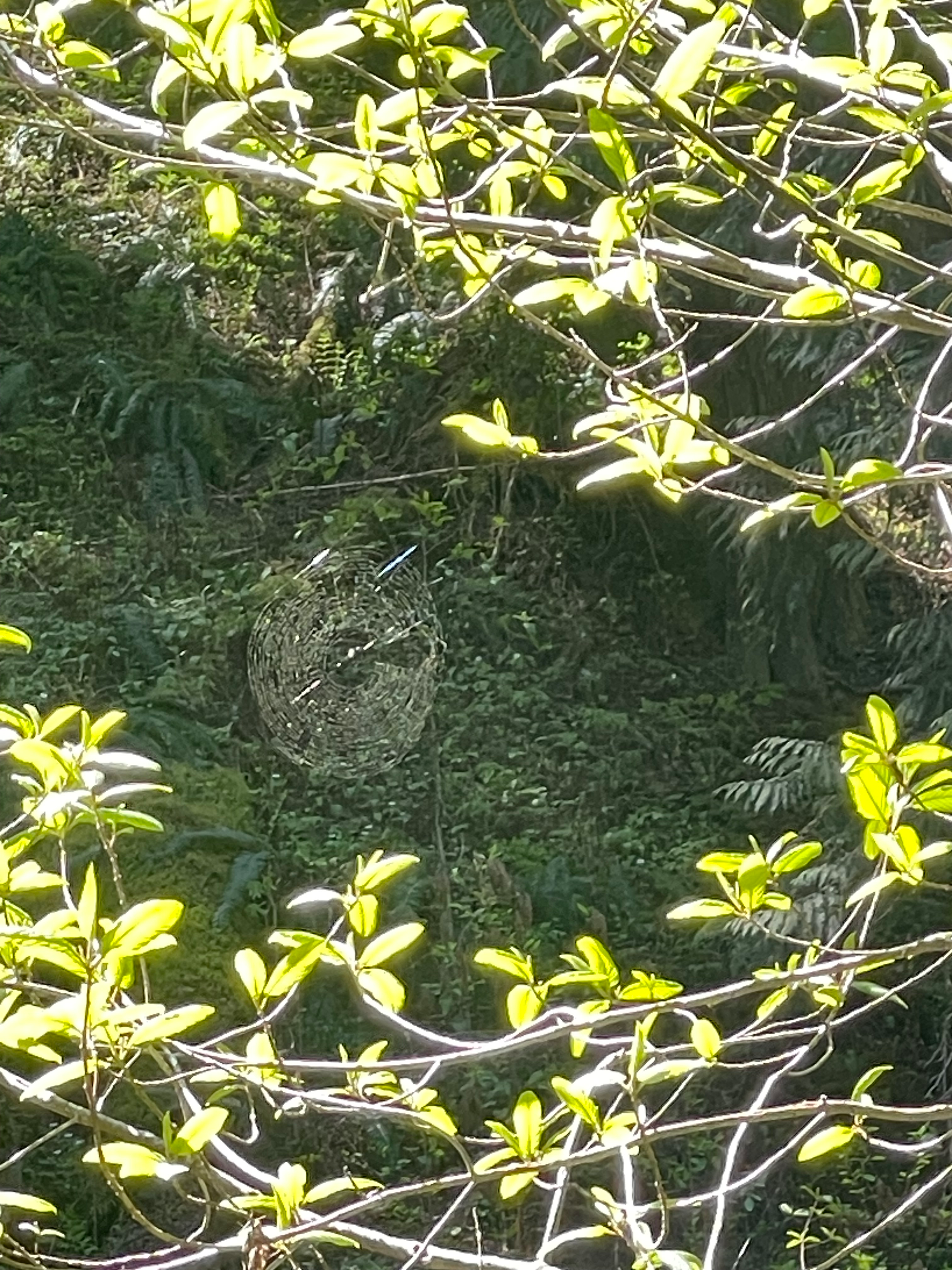 user avatar image for amber